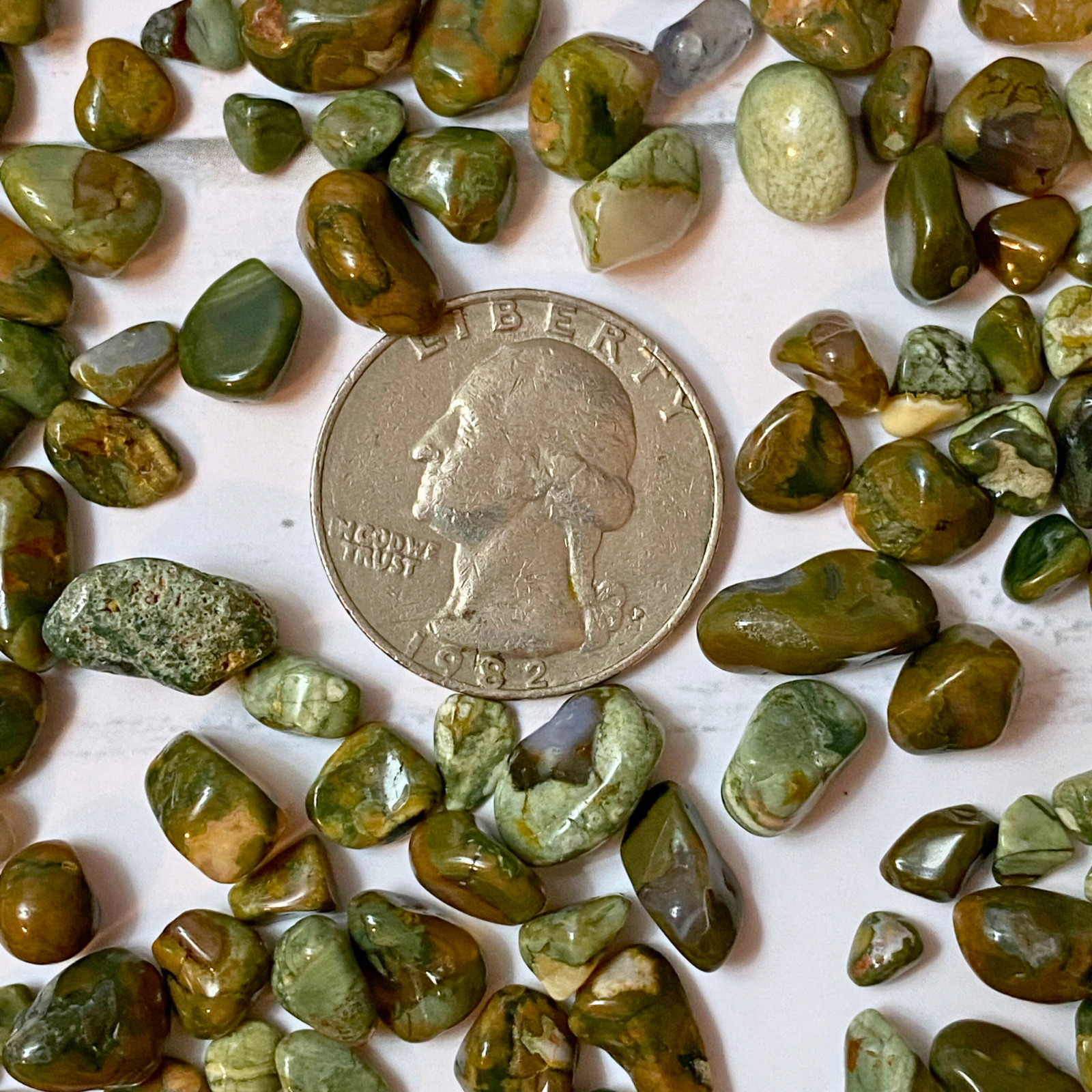 Rainforest Jasper Tumbled Gemstone Chips, Mini Stones 4-8mm Wholesale Bulk