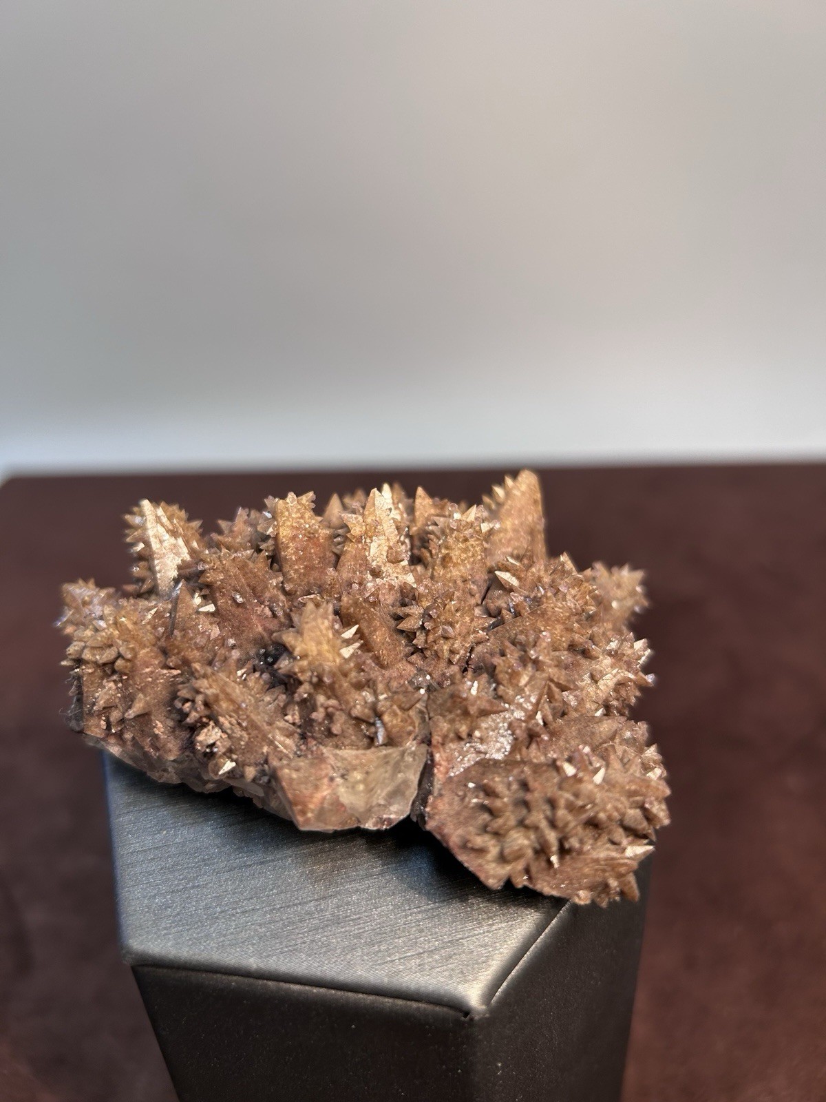 Dogtooth Calcite Cluster Santa Eulalia Mexico Old Labels Cabinet Specimen