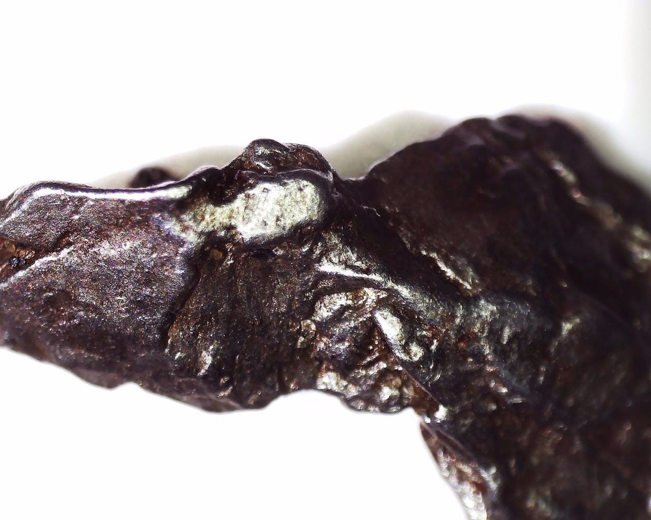 Genuine Aletai Iron Meteorite / From the Asteroid Belt Between MARS AND JUPITER!
