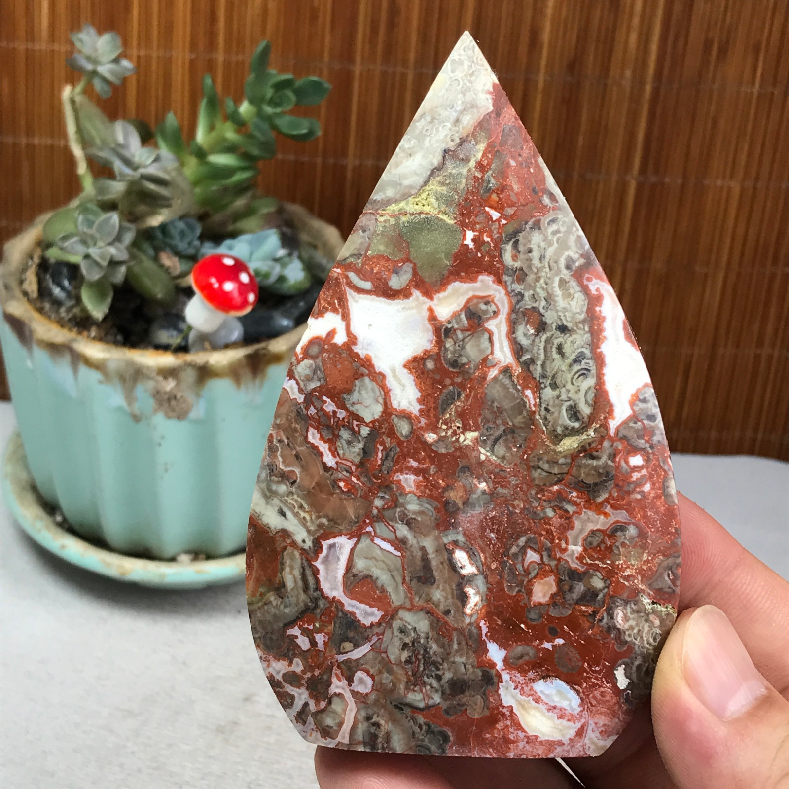 Natural money Mexico agate hand carve leaf Crystal Specimen free standing A6255