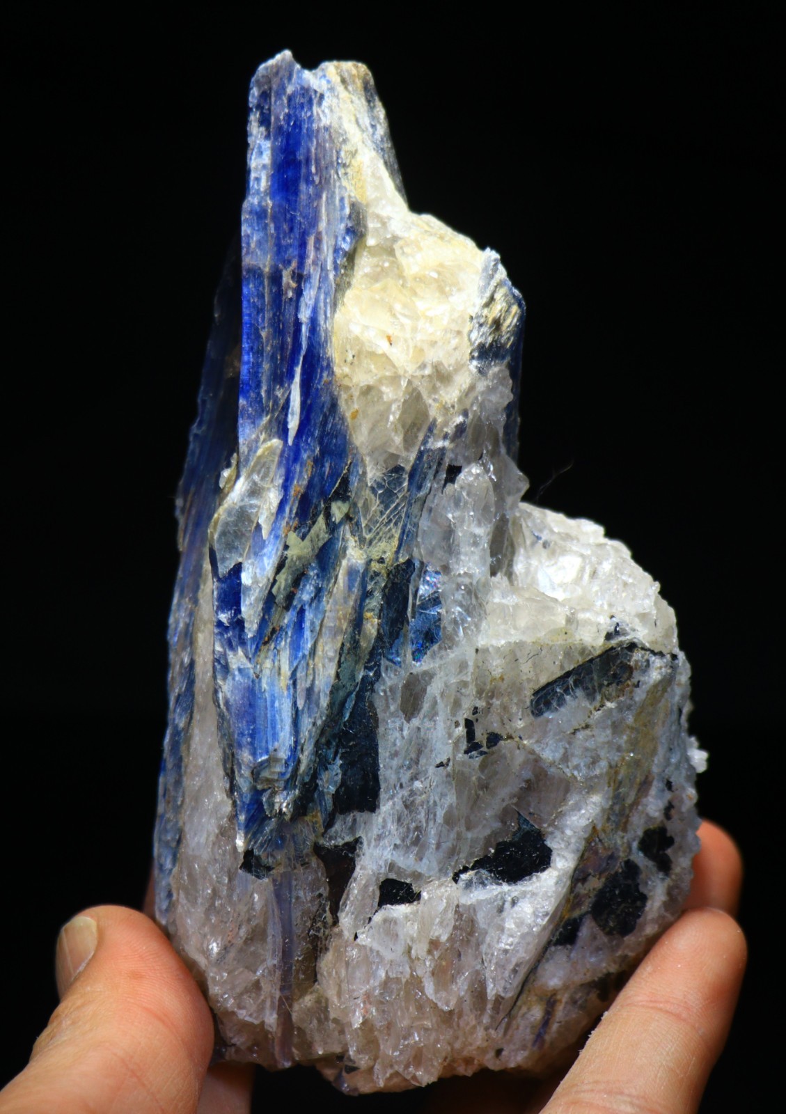 5.25″ 1 lb Deep Blue KYANITE Crystal Blade, Brazil! KY104