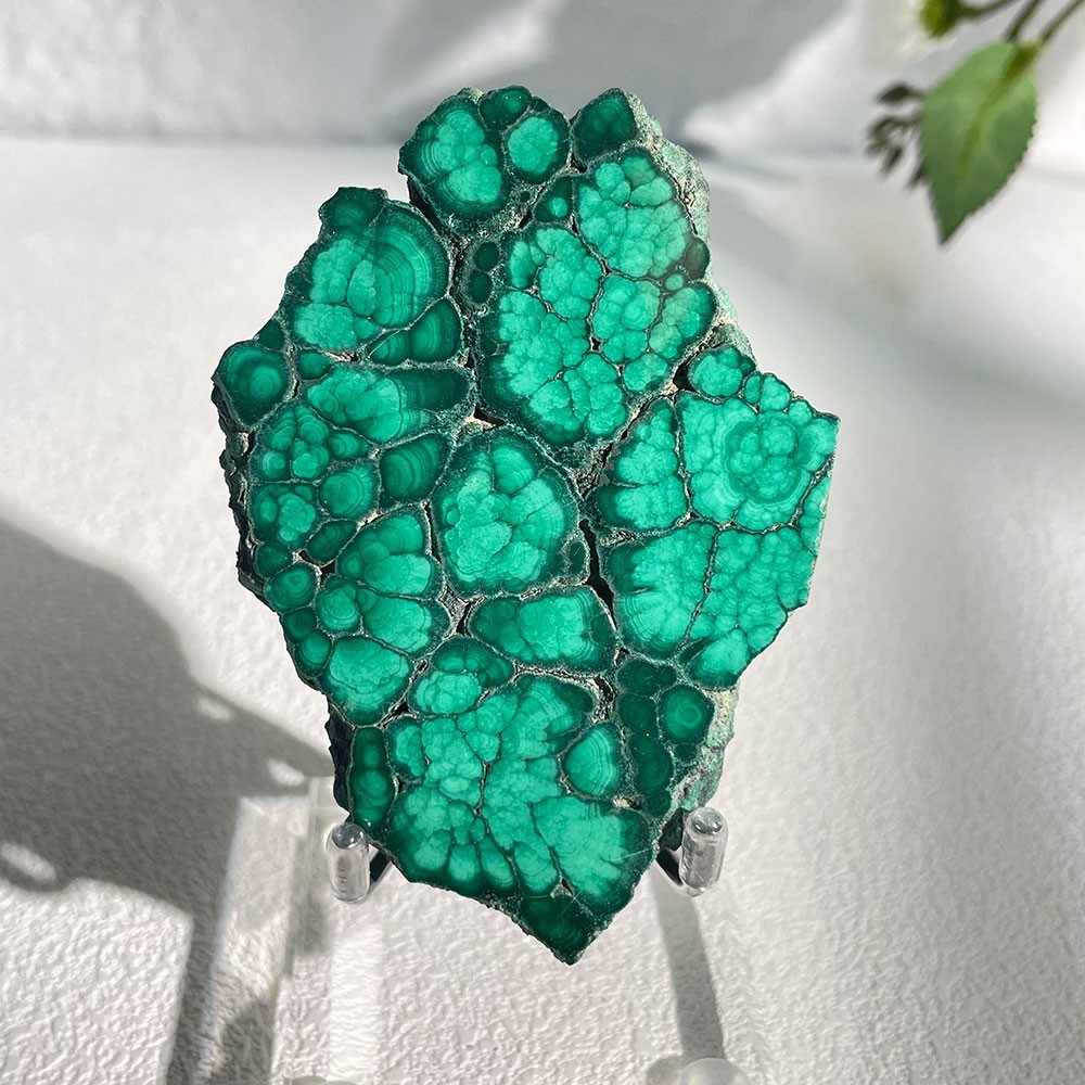 Natural Botryoidal Malachite Slice Crystal Specimen With Acrylic Stand 85g