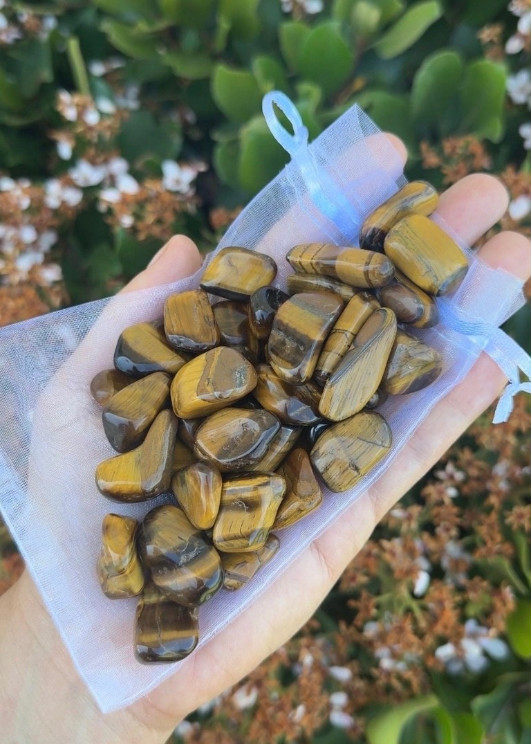 Bulk Wholesale Lot 1/2 Pound Tumble Crystals – Mixed, Carnelian, Tigers eye, ETC