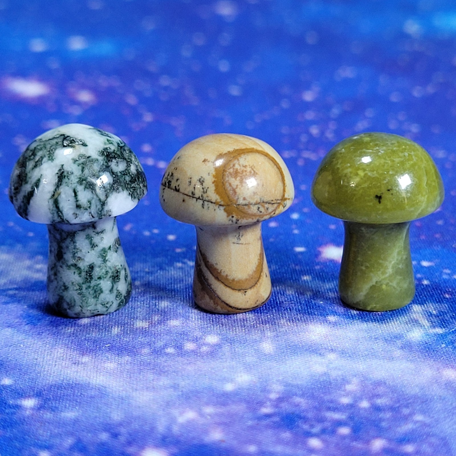 3 Magic Mushroom Carvings: Moss Agate/Picture Jasper/Serpentine 20mm w/Display