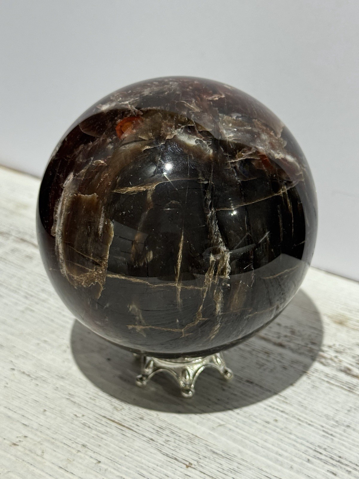 Petrified Wood Sphere 3.75” Natural Stone Carving