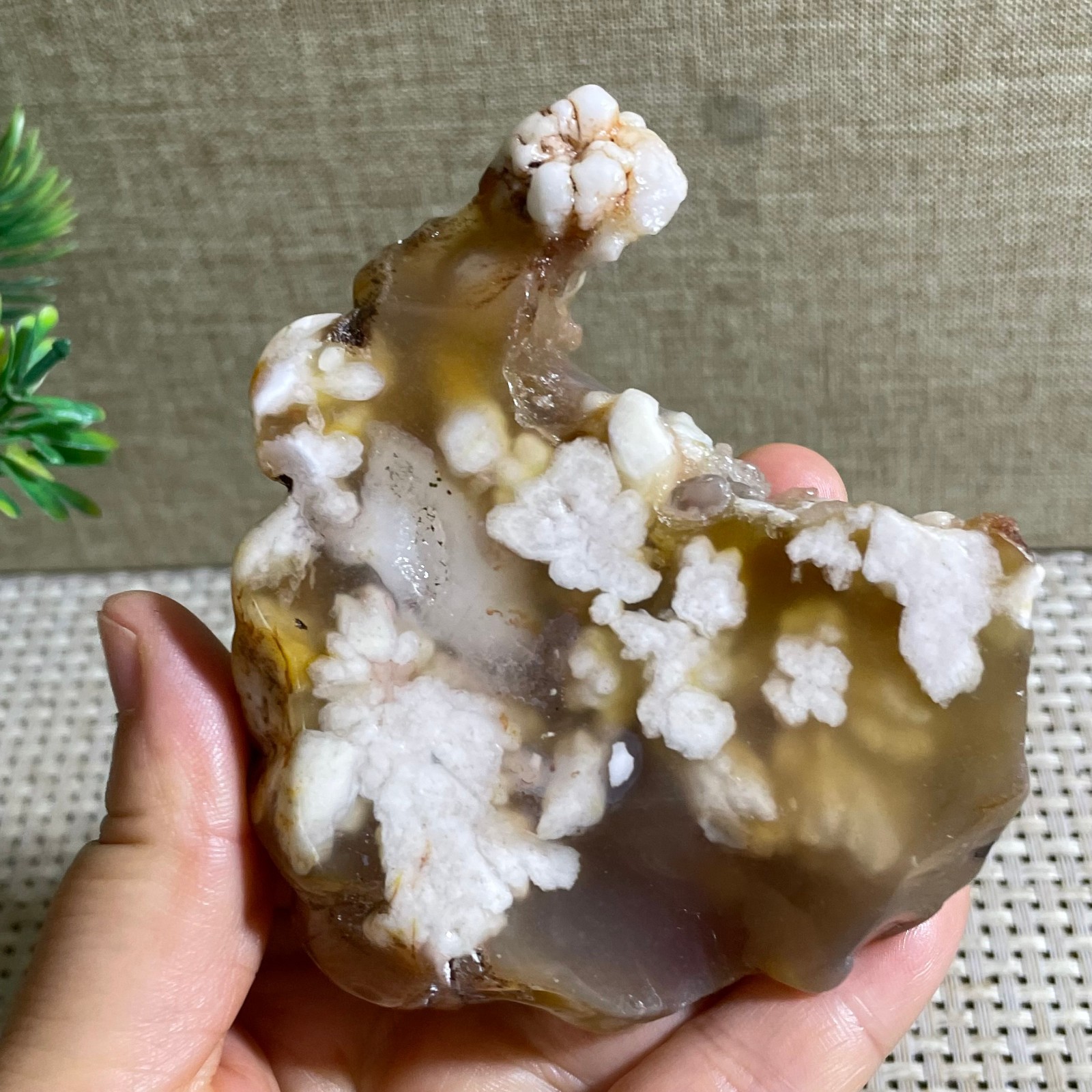 Sakura Agate Blossom Facet Rough Specimen Madagascar 186g g42