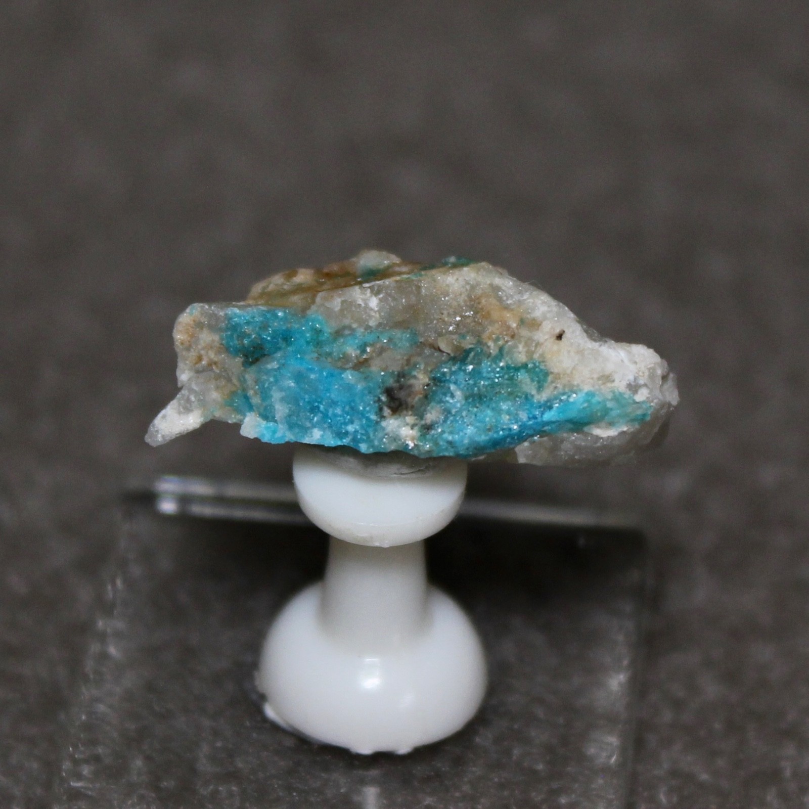 TURQUOISE on quartz. Bishop Mine, Lynch Station, Virginia. #5218