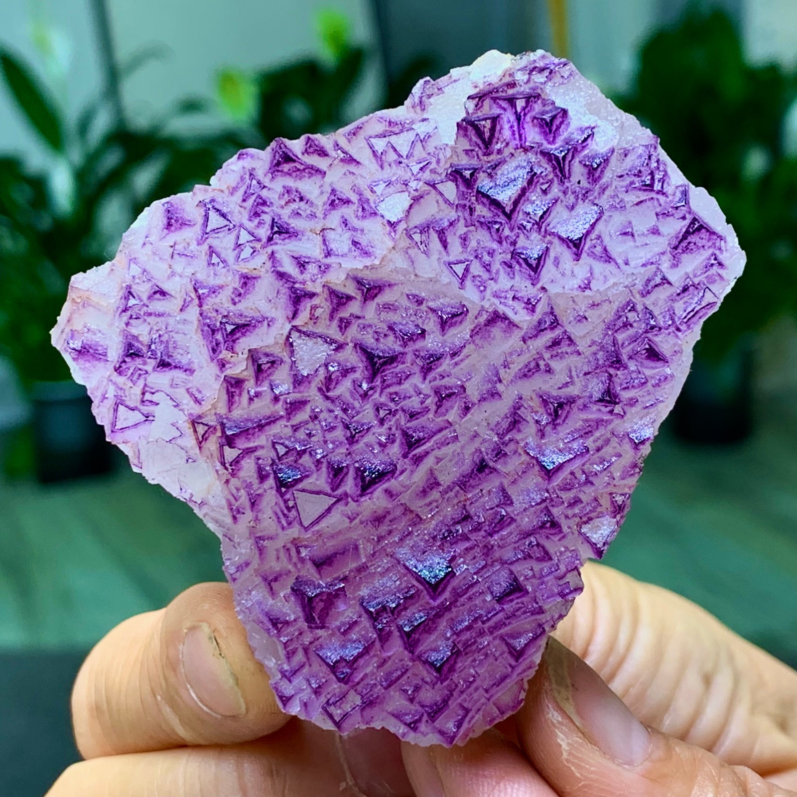 153G Natural fluorite purple edged cubic crystal mineral sample