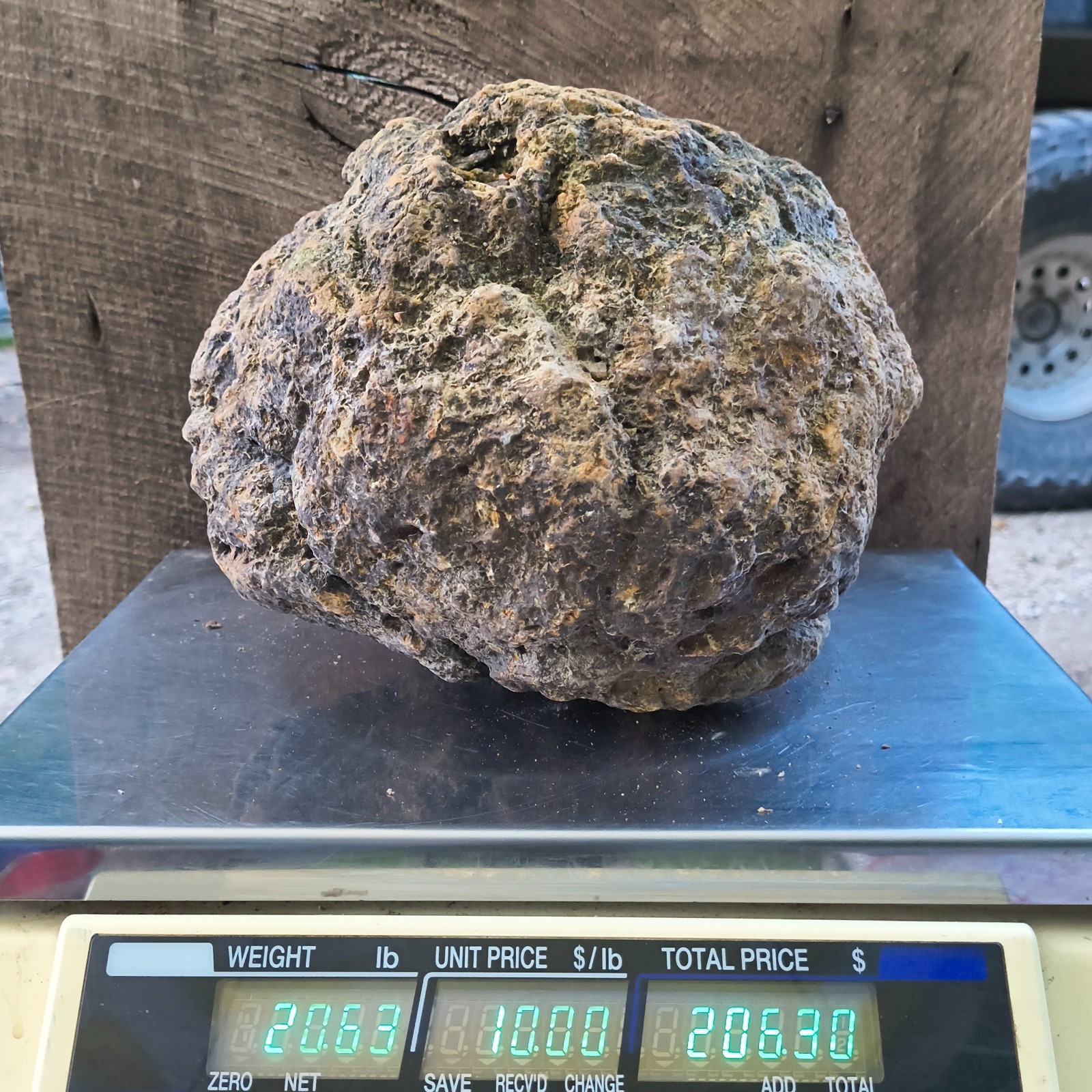 20.6 lb Unopened Kentucky Geode Break Your Own Large Quartz Crystal Hand Picked