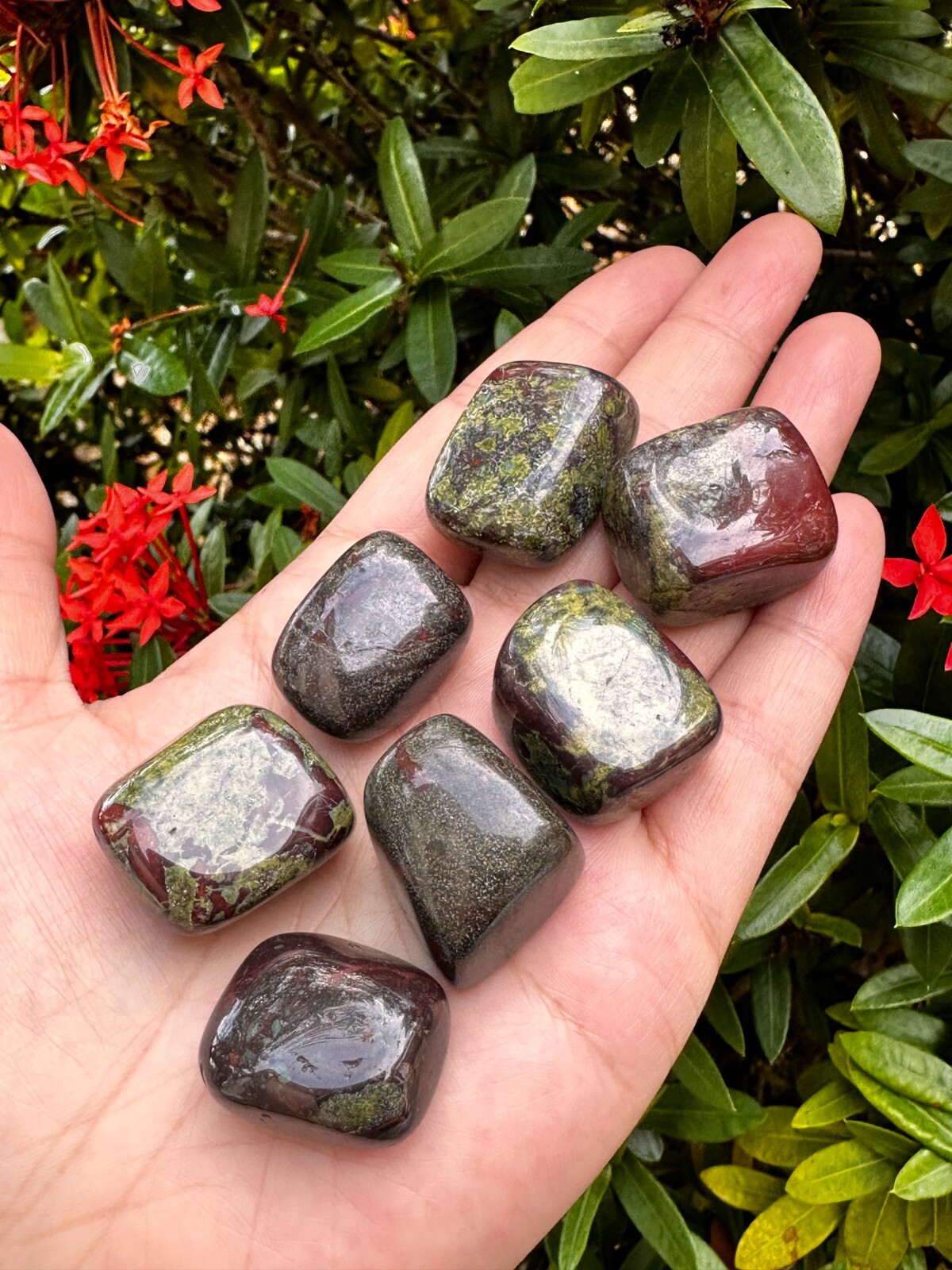 Grade A++Dragon Blood Jasper Tumbled Stones 0.75-1.25″, Wholesale Bulk Lot