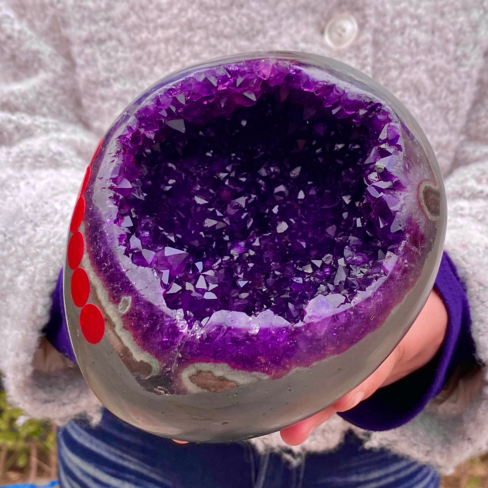 6.4LB Natural amethyst Dinosaur egg Quartz Crystal specimen healing