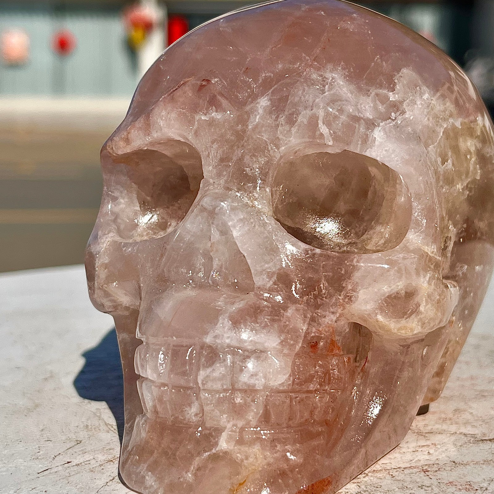 2.71LB Red Gum Flower Skull Carving | Handmade Carving | Healing Energy