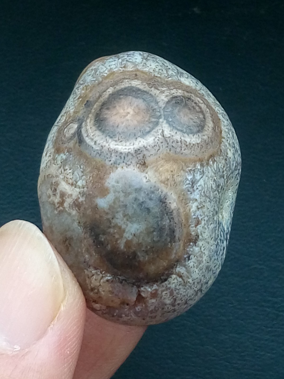 36mm Natural Gobi Agate eye agate collection