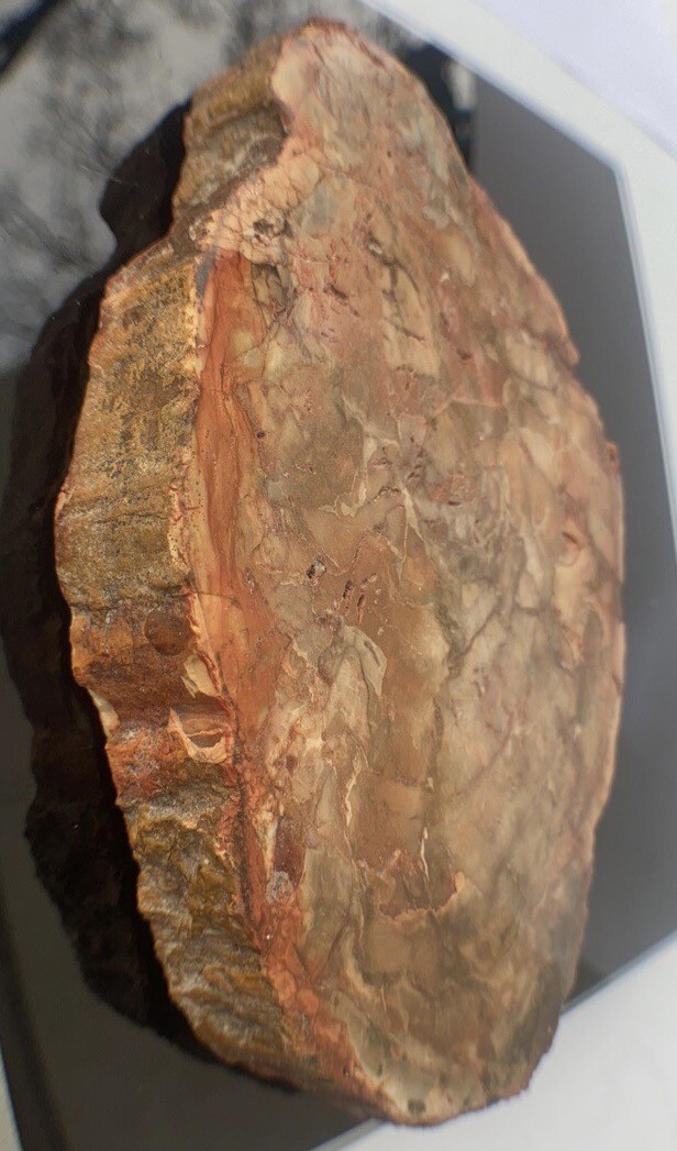 Petrified Wood Slab 308 Gram/both Sides Polished,Bark Ring On/Beautiful Specimen