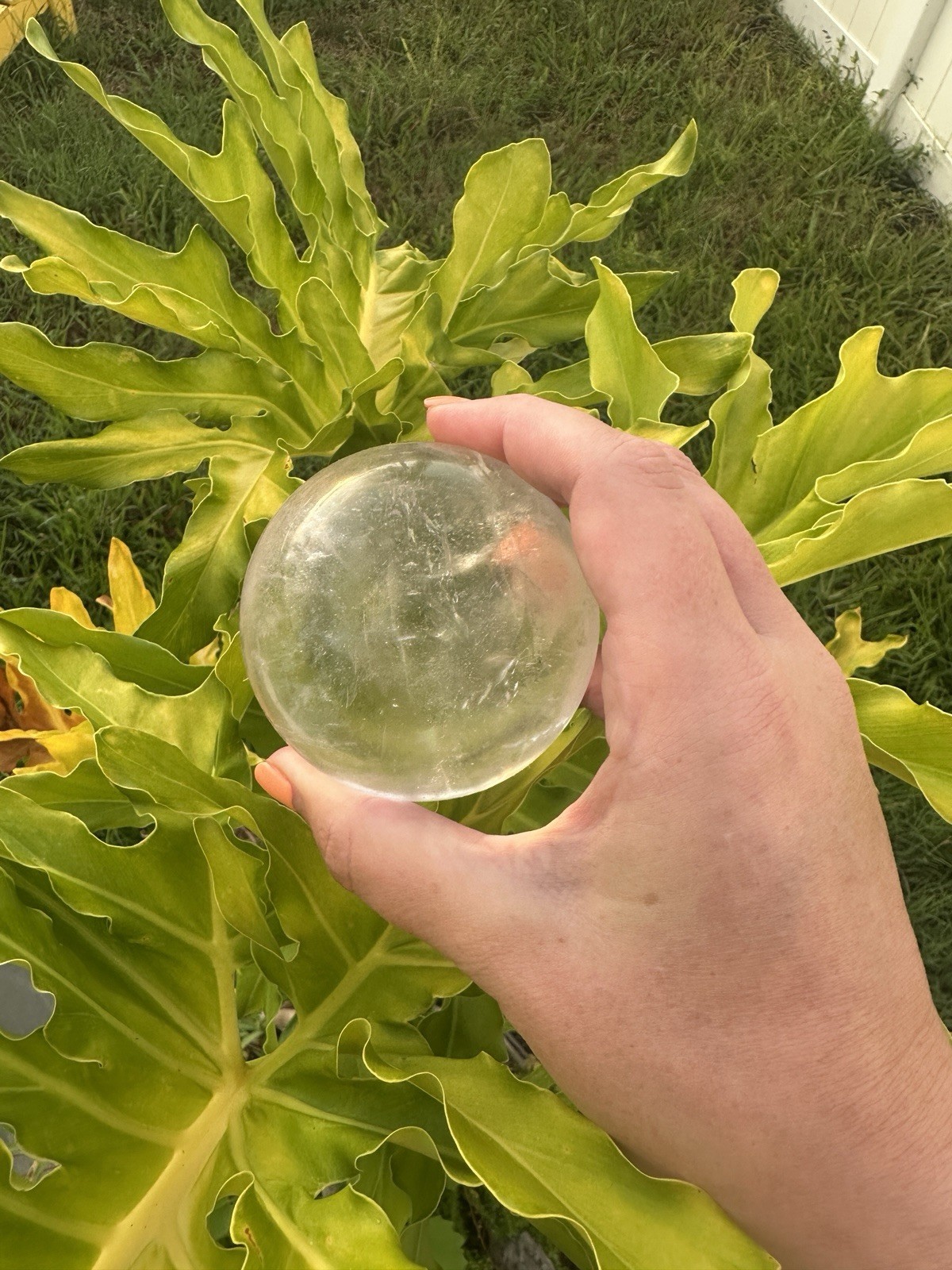 Clear Crystal Sphere Ball Mineral Display Specimen Crystal Sphere / Ball