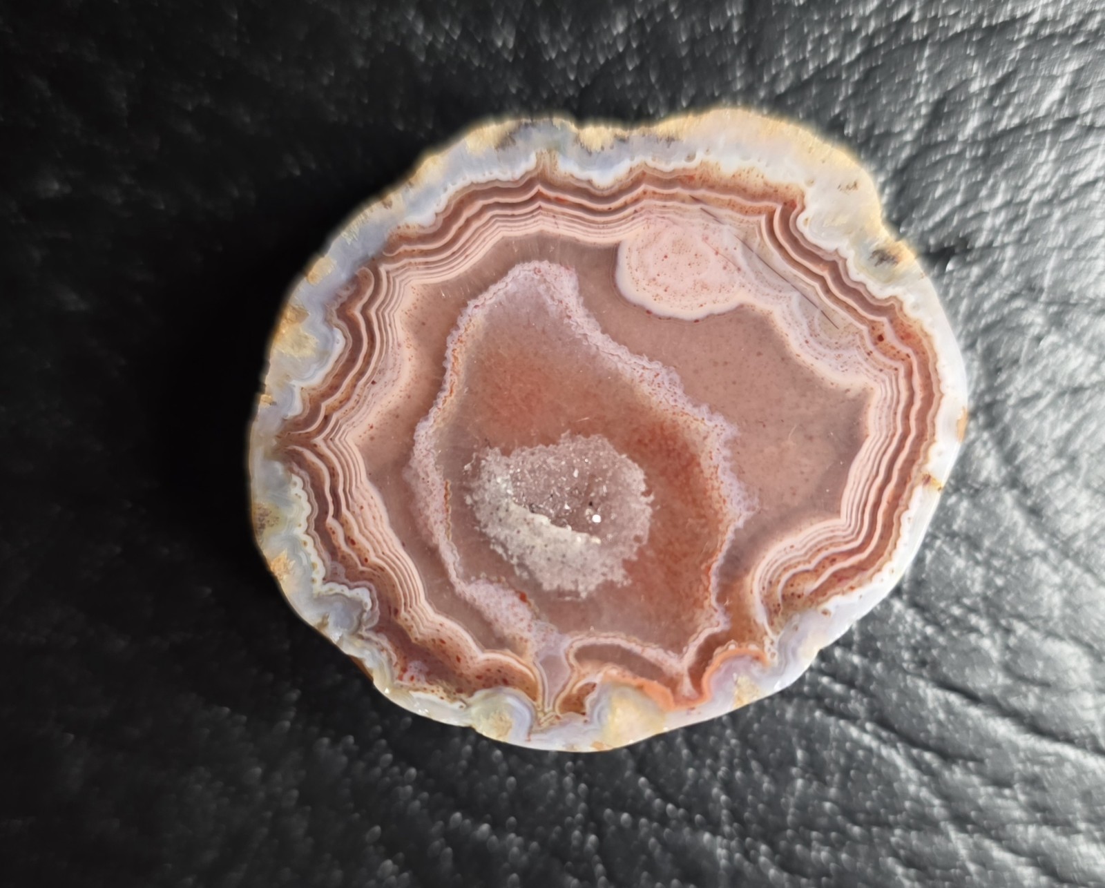 Kentucky Agate Display Specimen-Purple, pink, and blue with Polished Face # S-71
