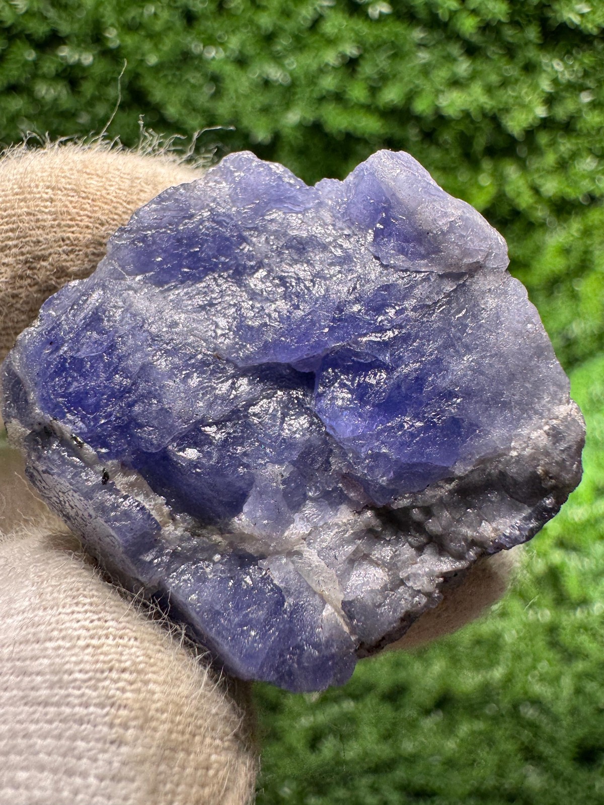 Lovely TANZANITE Crystal with COLOR CHANGE under yellow/white light / N375