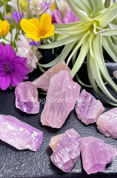 3pcs Rare Purple Kunzite Crystal Stone Love Home Decor Healing Reiki Energy Gift