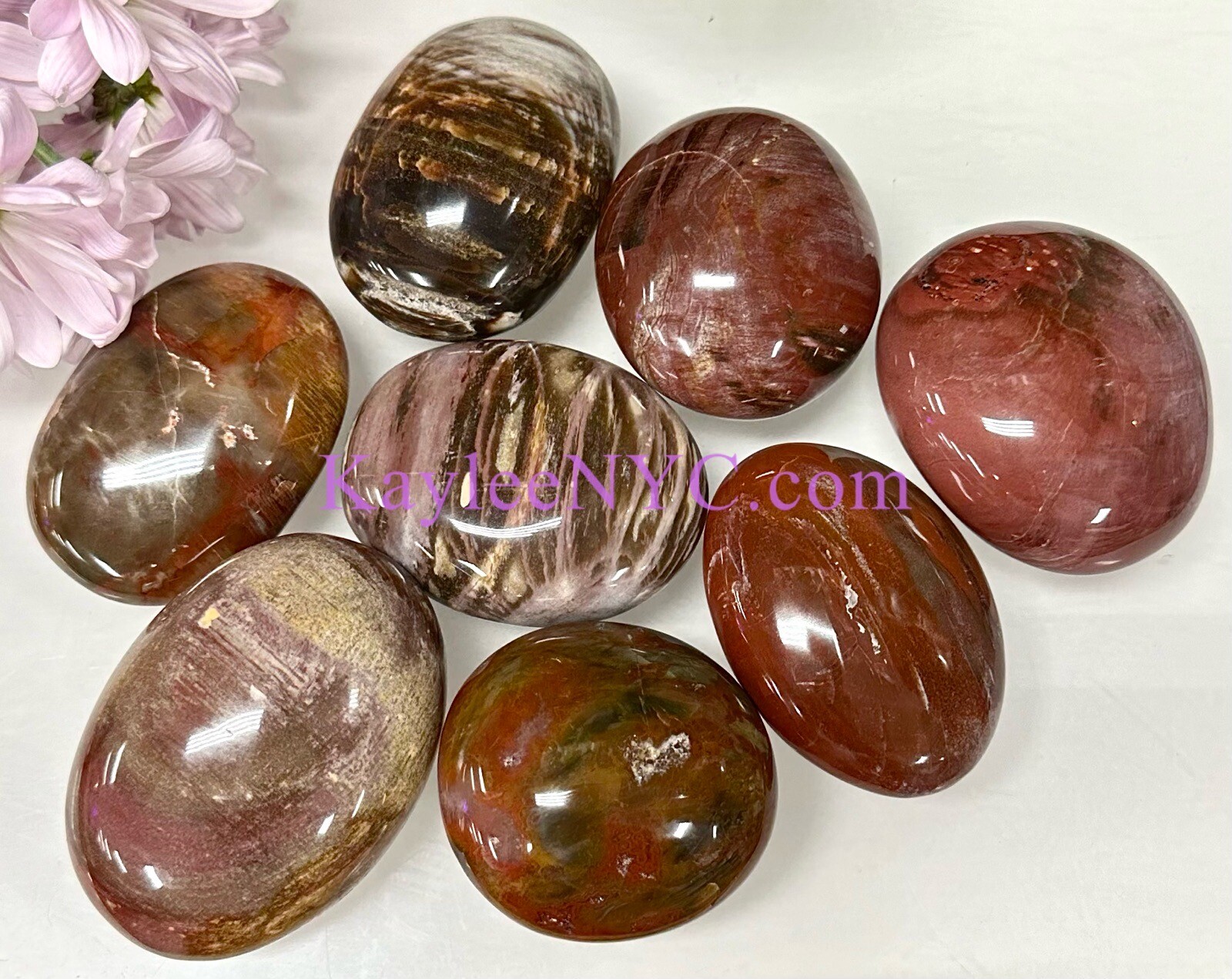 Wholesale Lot 2 Lbs Natural Petrified Wood Palm Stone Crystal Healing