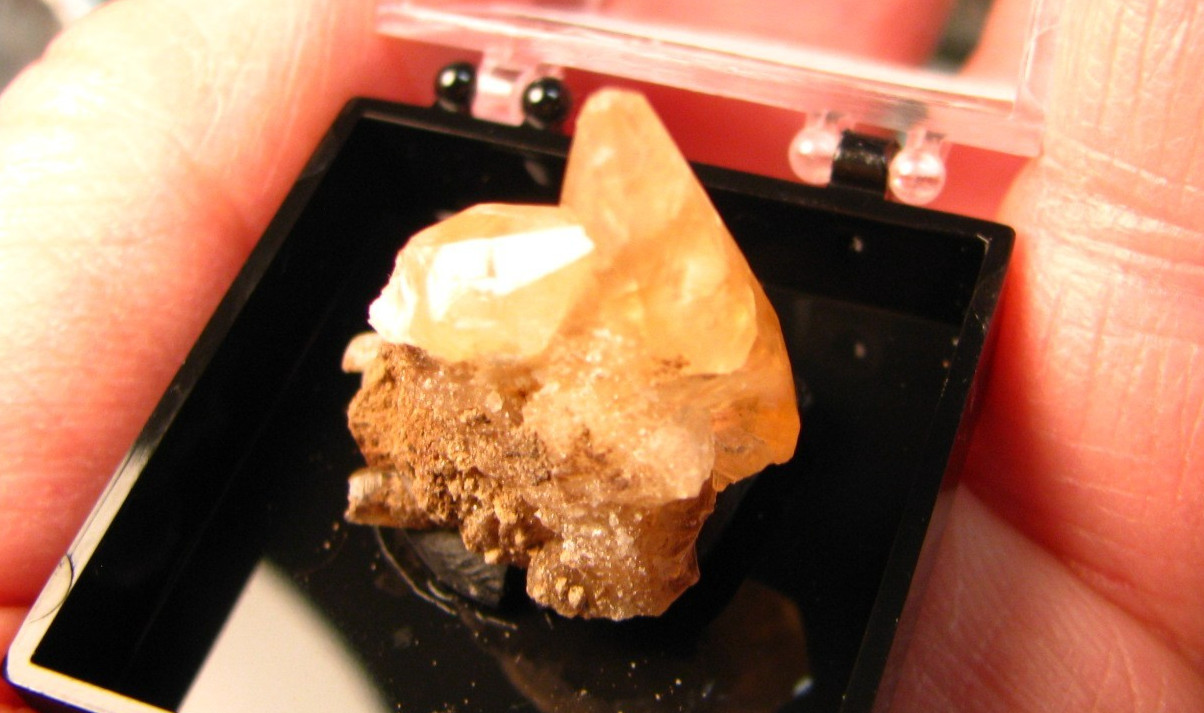 GOLDEN DOGTOOTH CALCITE CLUSTER THUMBNAIL IN CASE MARBLEHEAD QUARRY OHIO #224