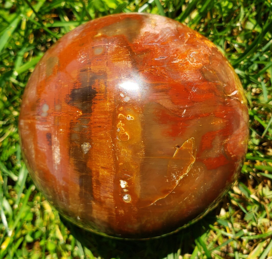 3.36″ Red Petrified Wood Sphere Orb Quartz Crystal Ball Fossil Mineral UV, 865g
