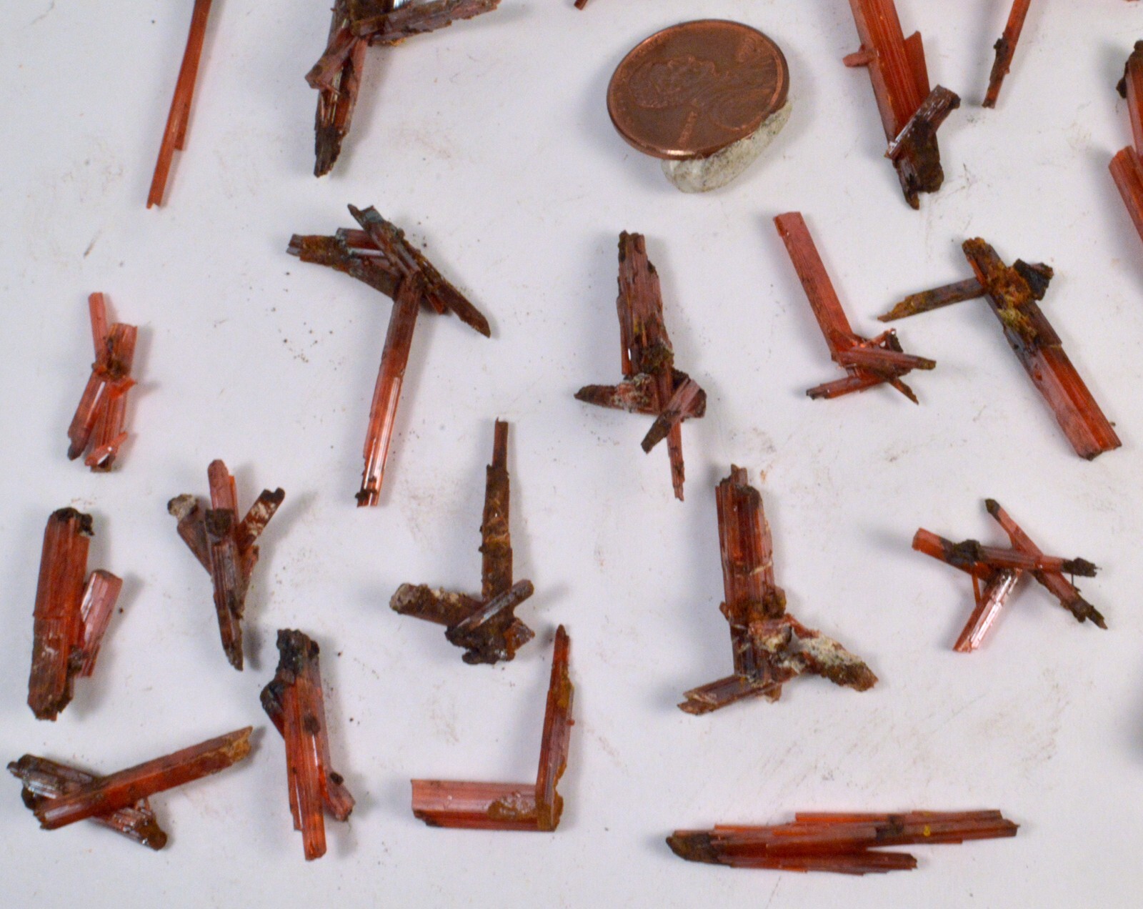 #12,249 Crocoite Clusters – Adelaide Mine, Tasmania, Australia [ONE PIECE ONLY]