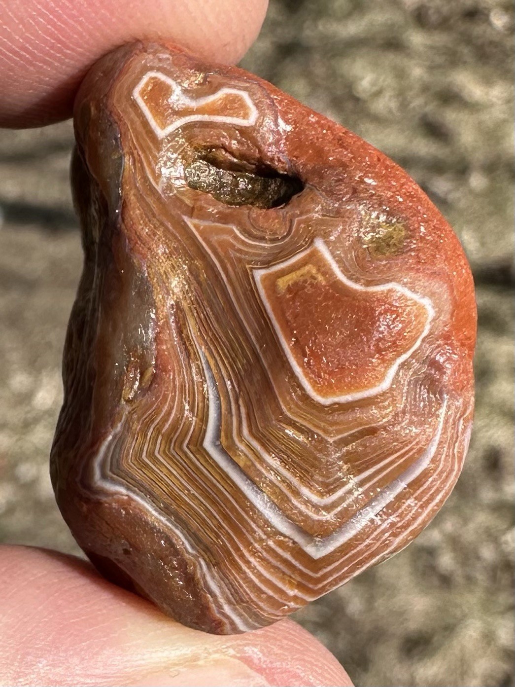 2.0oz Lake Superior Agate Bundle Of Natural Beauties!