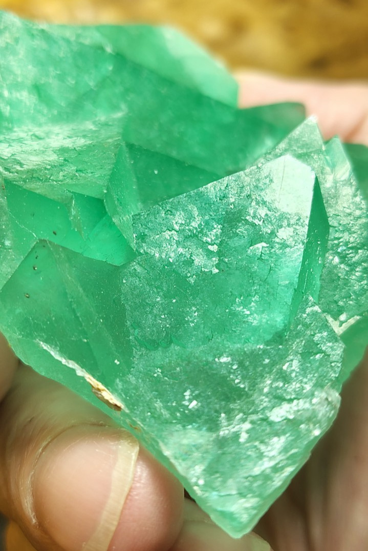 GREEN FLUORITE OCTAHEDRONS CLUSTER TOP CLASS Riemvasmaak South Africa