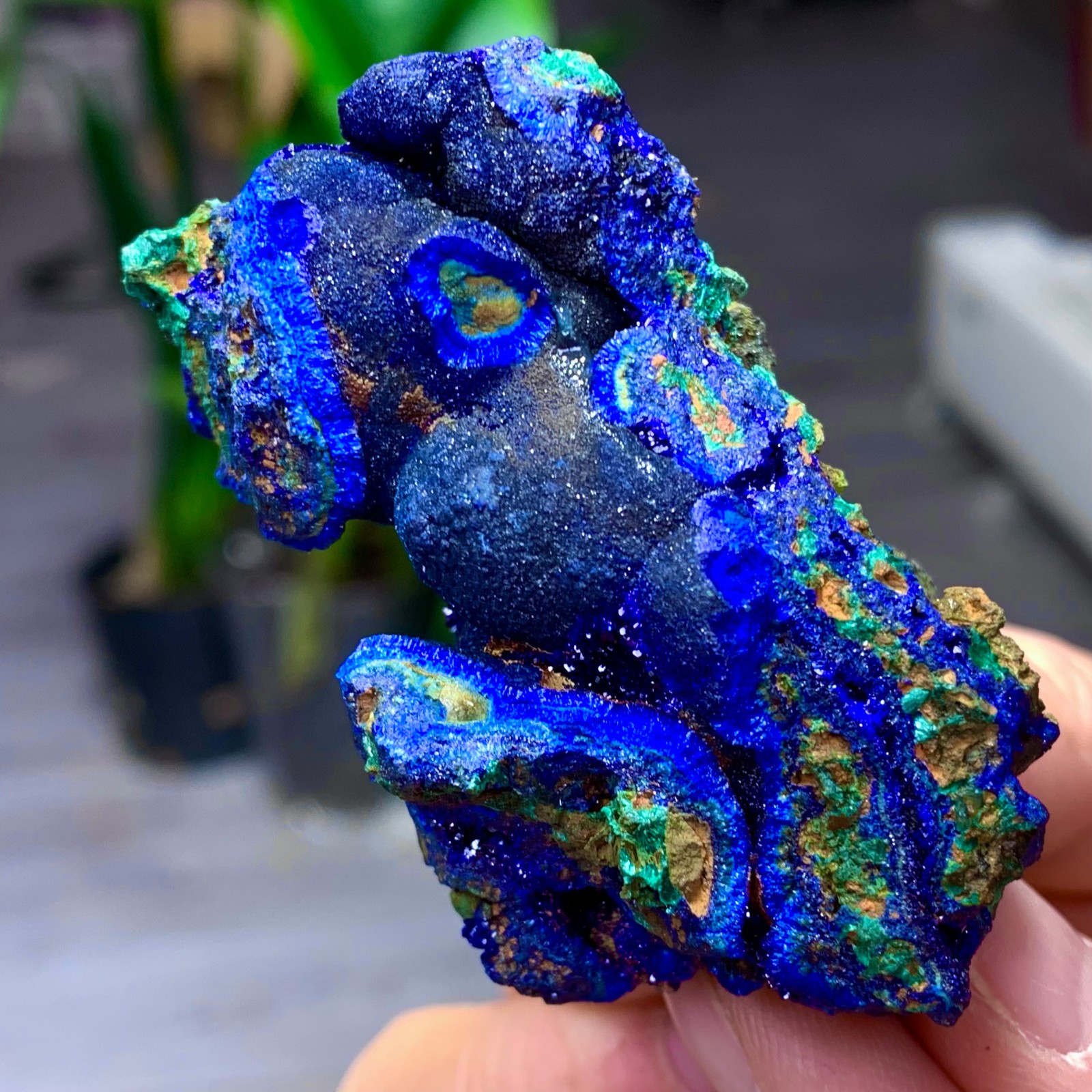 102G BEST Natural Azurite/Malachite crystal minerals specimens