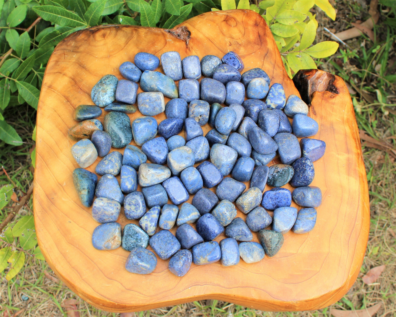 Wholesale Bulk 1/2 lb lot Dumortierite Tumbled Stones Crystal Healing Gemstone
