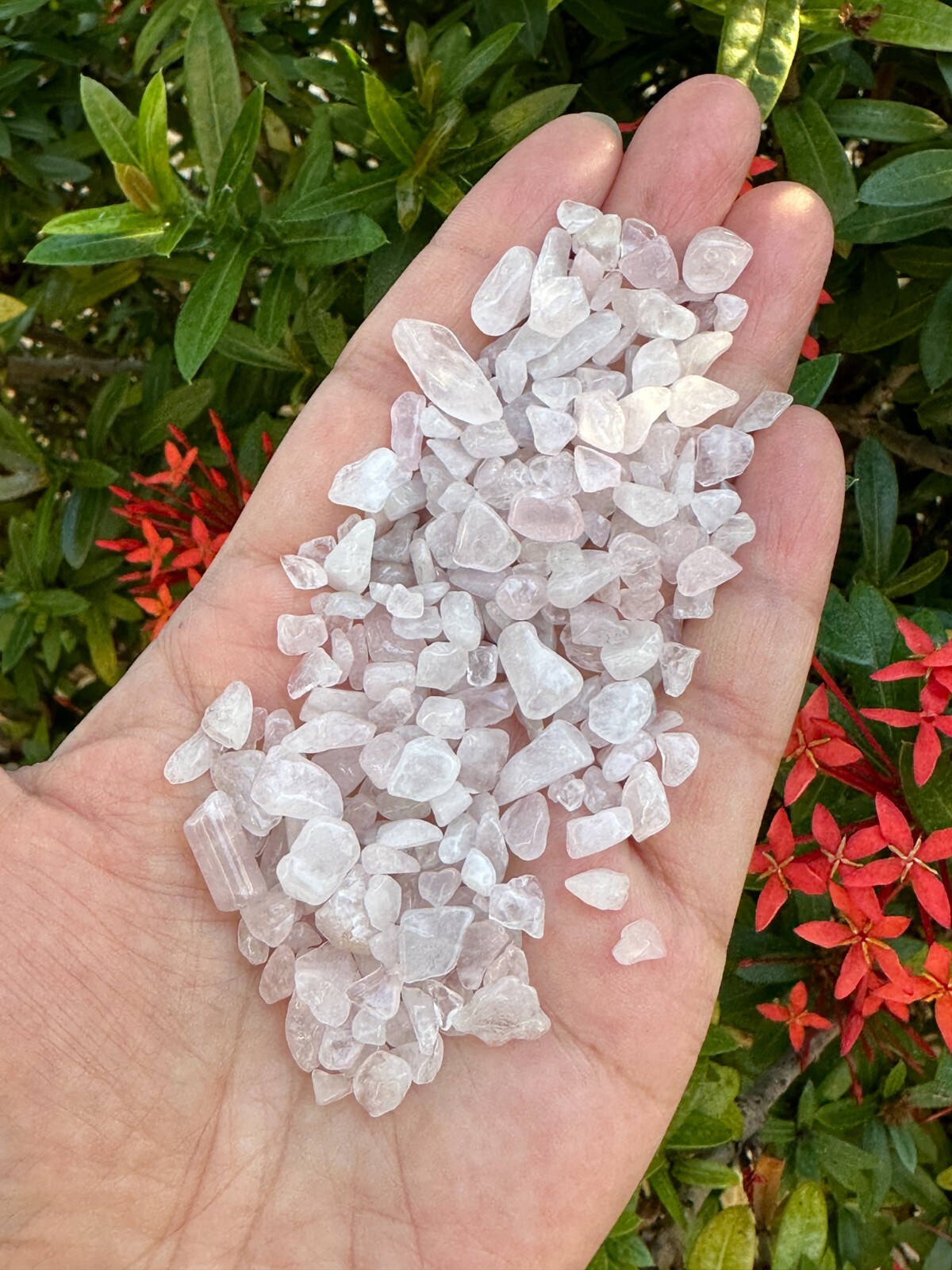 Grade A++ Rose Quartz Semi Tumbled Gemstone Large Chips 3-12mm, Wholesale Bulk