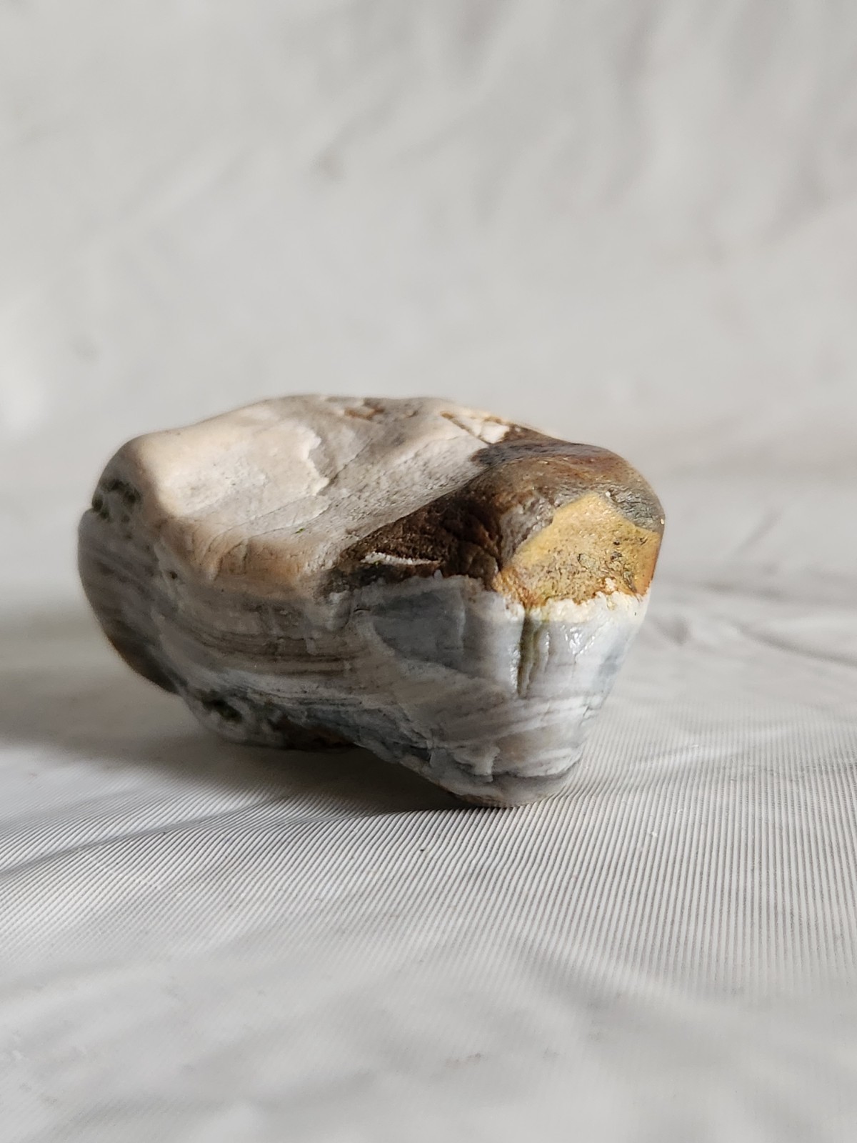 Lake Superior Agate Wisconsin 5.6 oz • Not Polished