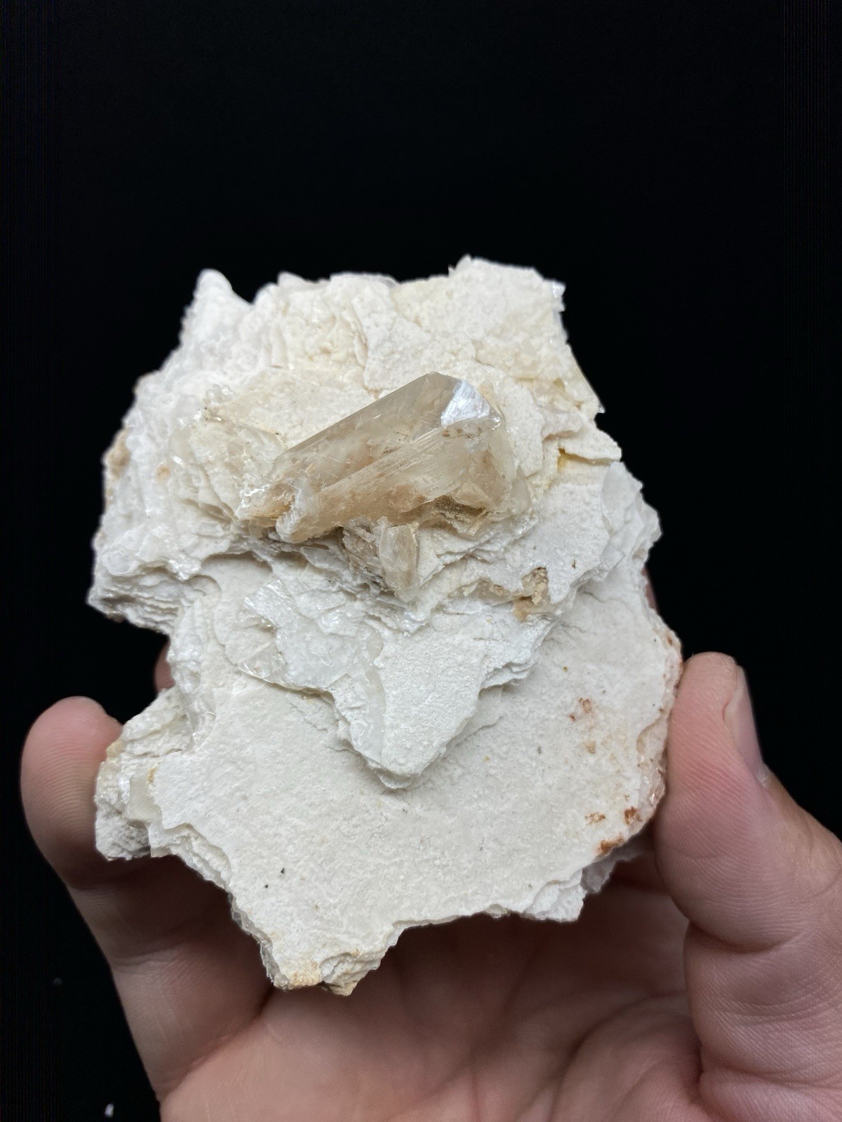 Selenite on Gypsum from Chihuahua, Mexico – Free Shipping
