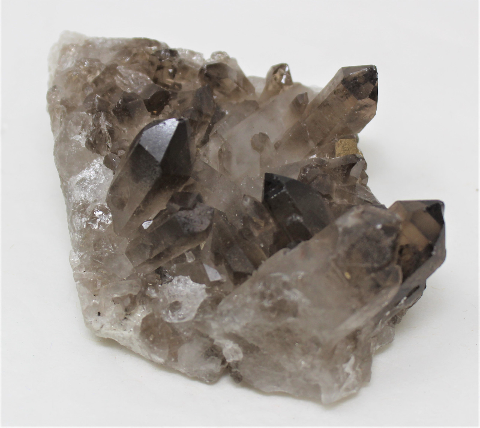 Smoky Quartz Crystal Cluster (3 – 4 oz) Natural Quartz Druze Geode Specimen