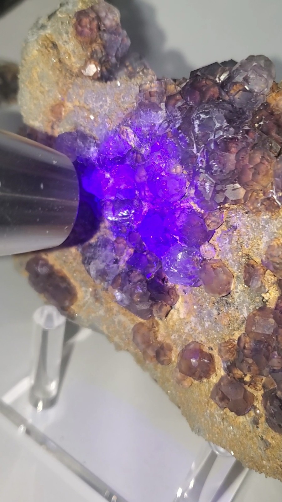 Tanzanite Fluorite On tan-colored quartz-rich matrix Statement PEACE 1KG 210G