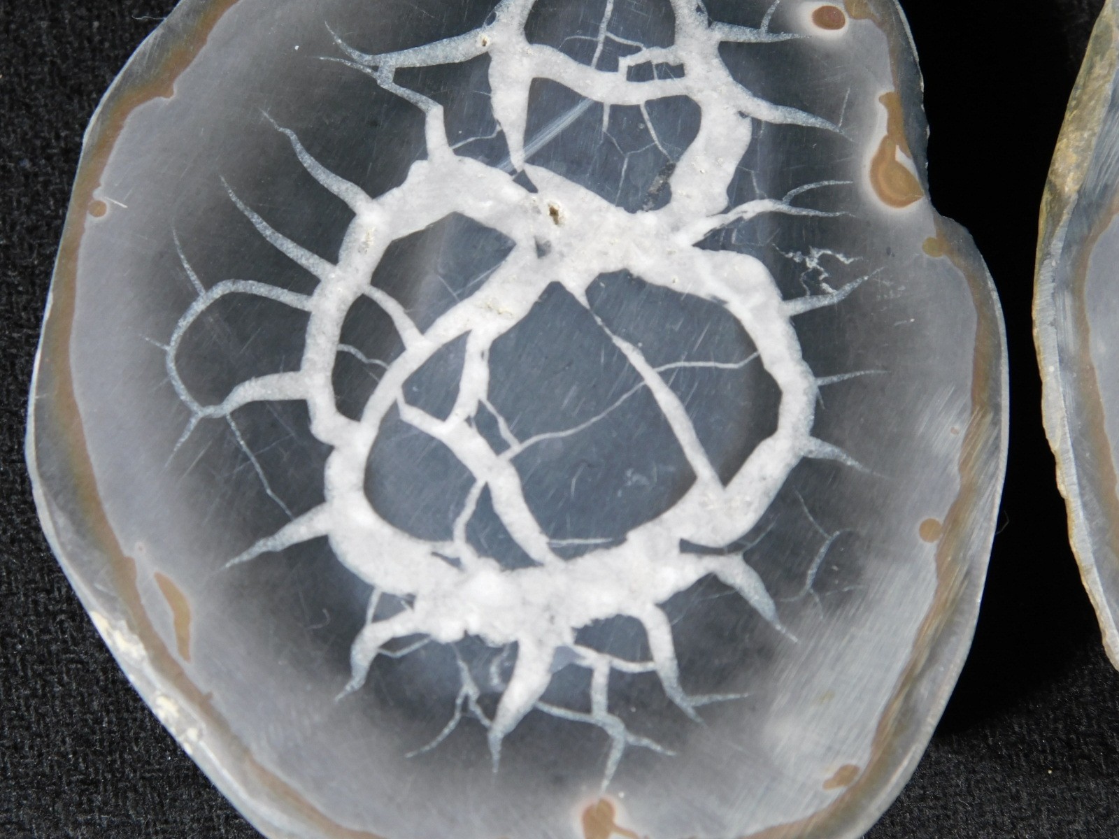 Larger! Cut and Polished SEPTARIAN Nodule 100% Natural Morocco 341gr