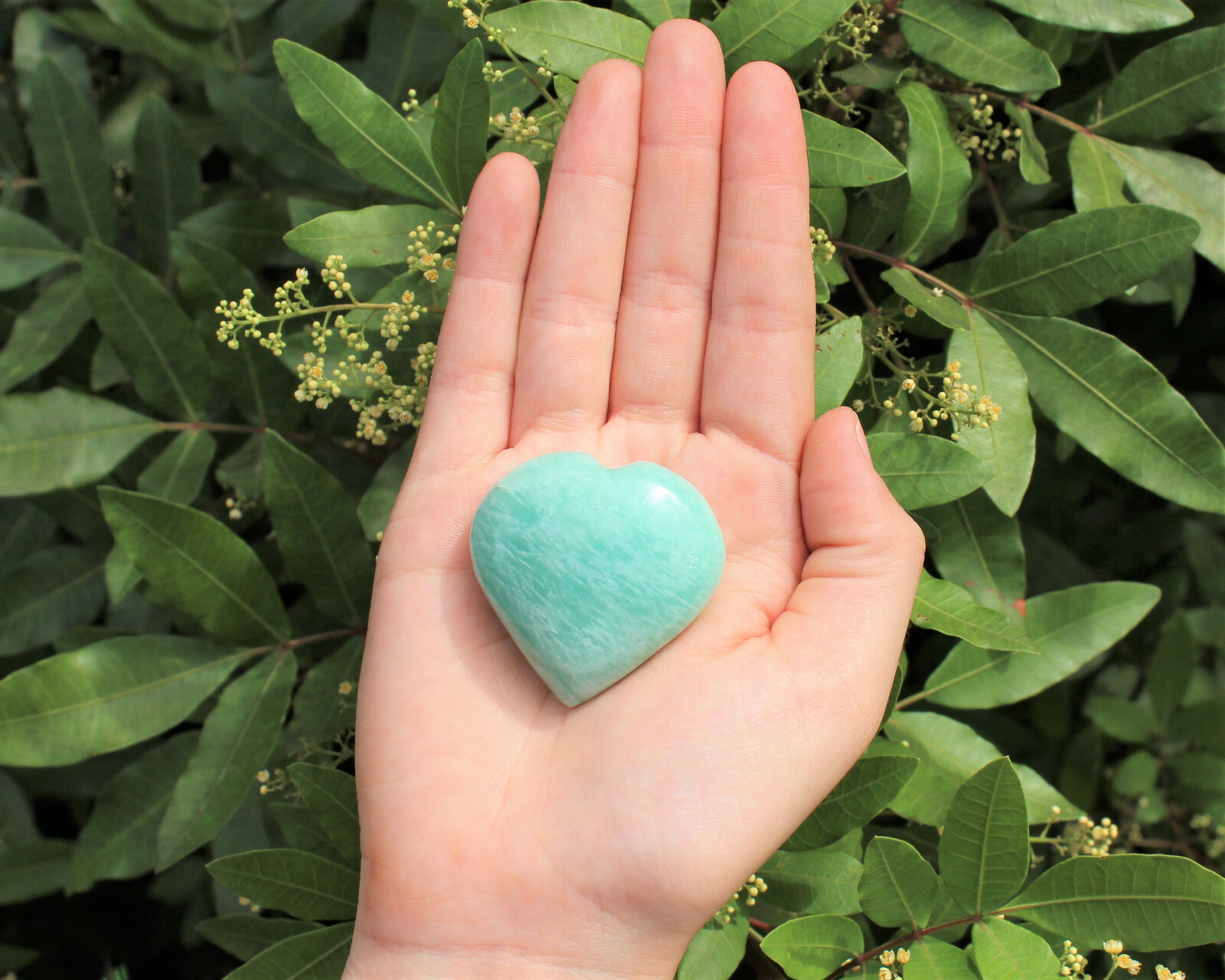 Amazonite Heart Stone: LARGE 1.75″ (Crystal Heart, Gemstone Palm Stone)
