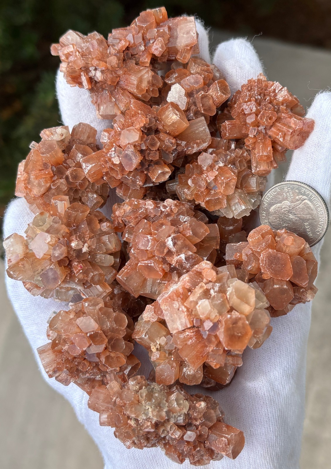 473g 1LB+ POUND LOT ARAGONITE NICE SIZE NUGGETS RED BROWN STALACITE STALACITES