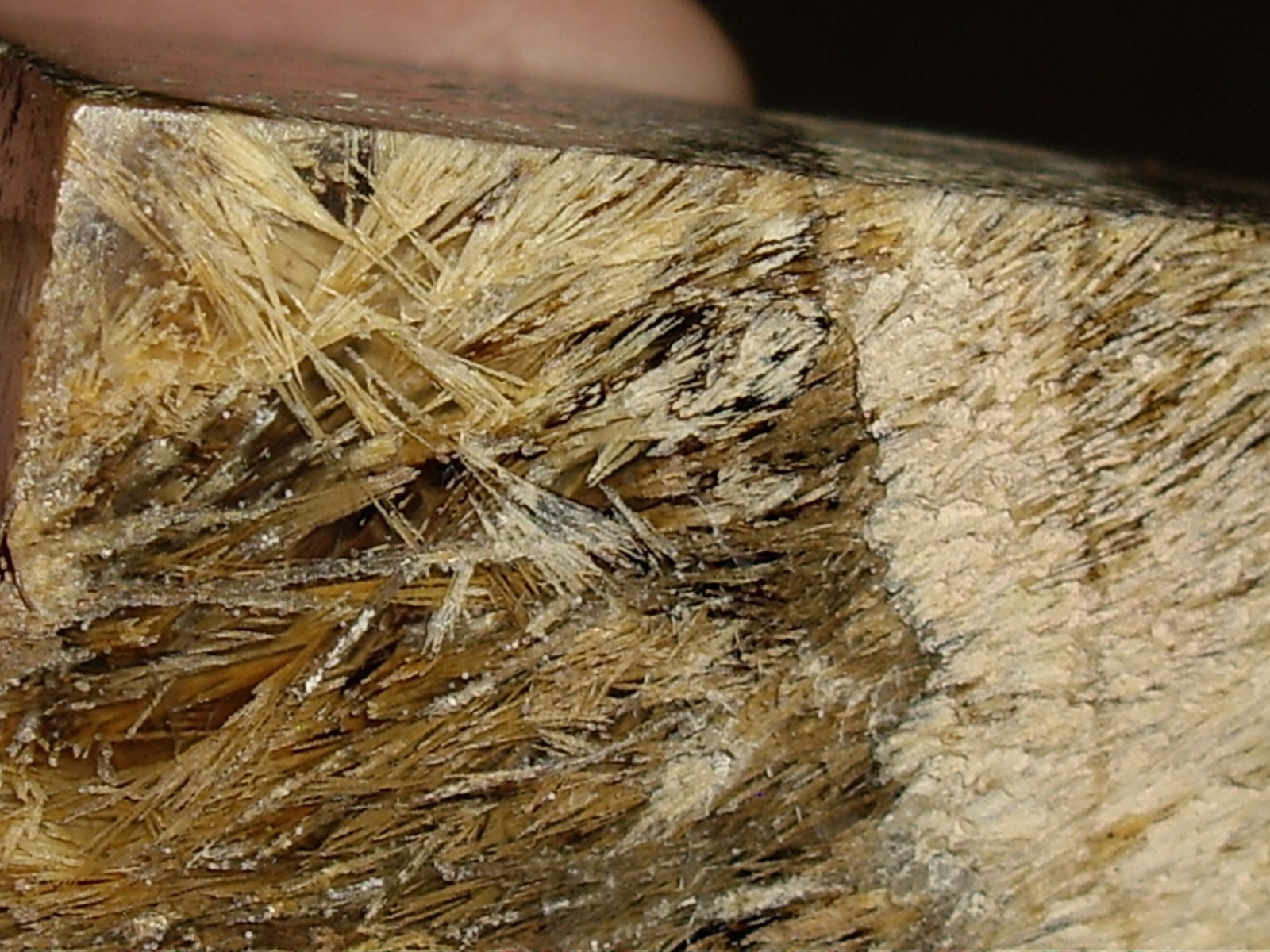 Fantastic Sagenite Agate Polished Freeform w/ Unknown Fibrous Inclusions 144.6g