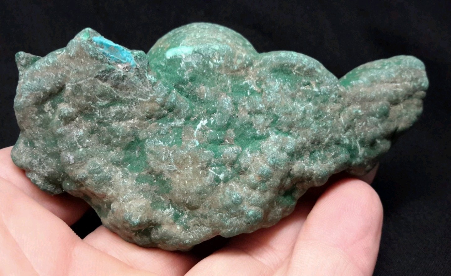 3.75″ MALACHITE with CHRYSOCOLLA from the Democratic Republic of Congo