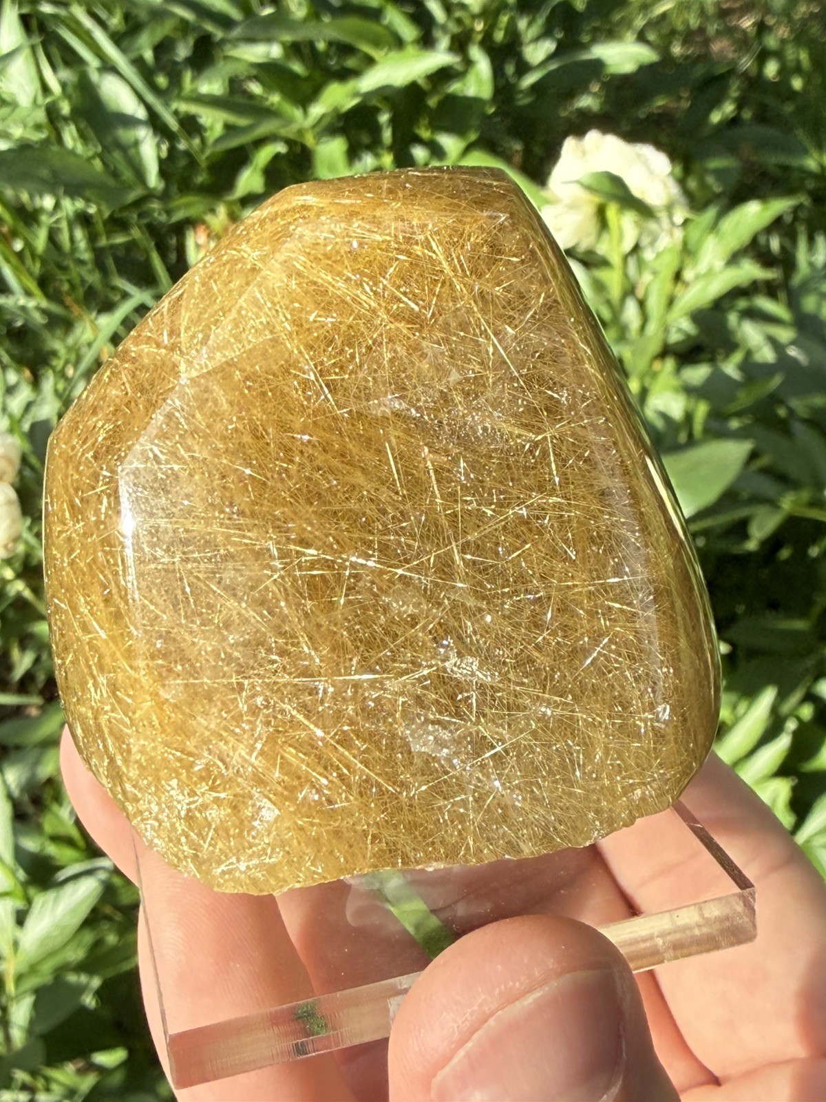 Golden Rutilated Included Quartz Freeform Polished Brazilian 6cm- 283g- ID68