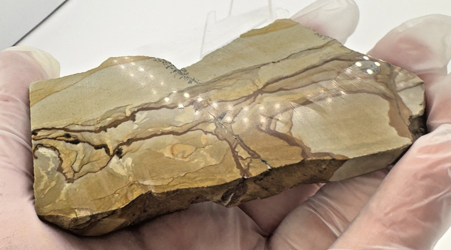 4) Rare Polished Ohwlee Picture Jasper Slab 5″ Display Specimen 5.80 oz