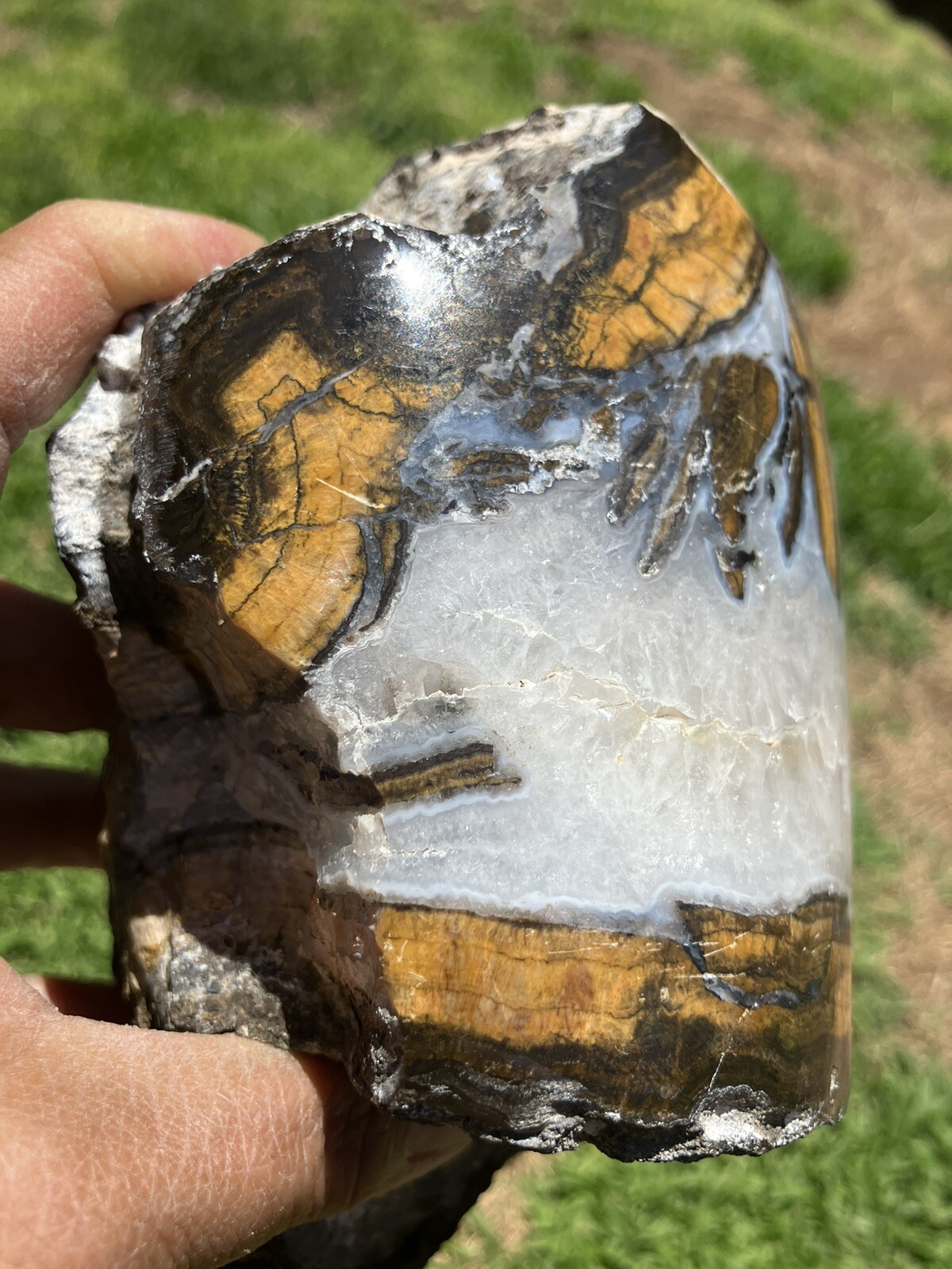 Black And Gold Agate Specimen (NM)