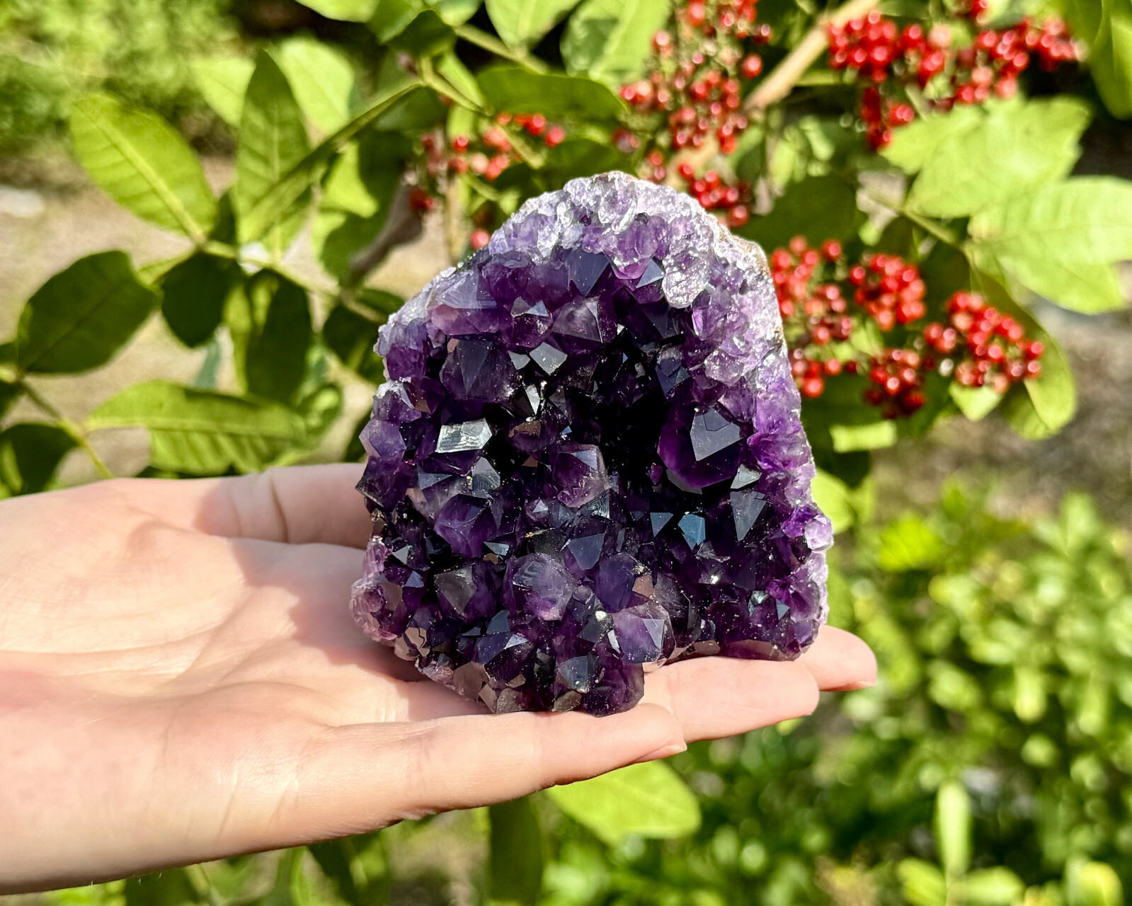 Amethyst Druze Crystal Cluster Cut Base Natural Goede Specimen: You Choose Size!