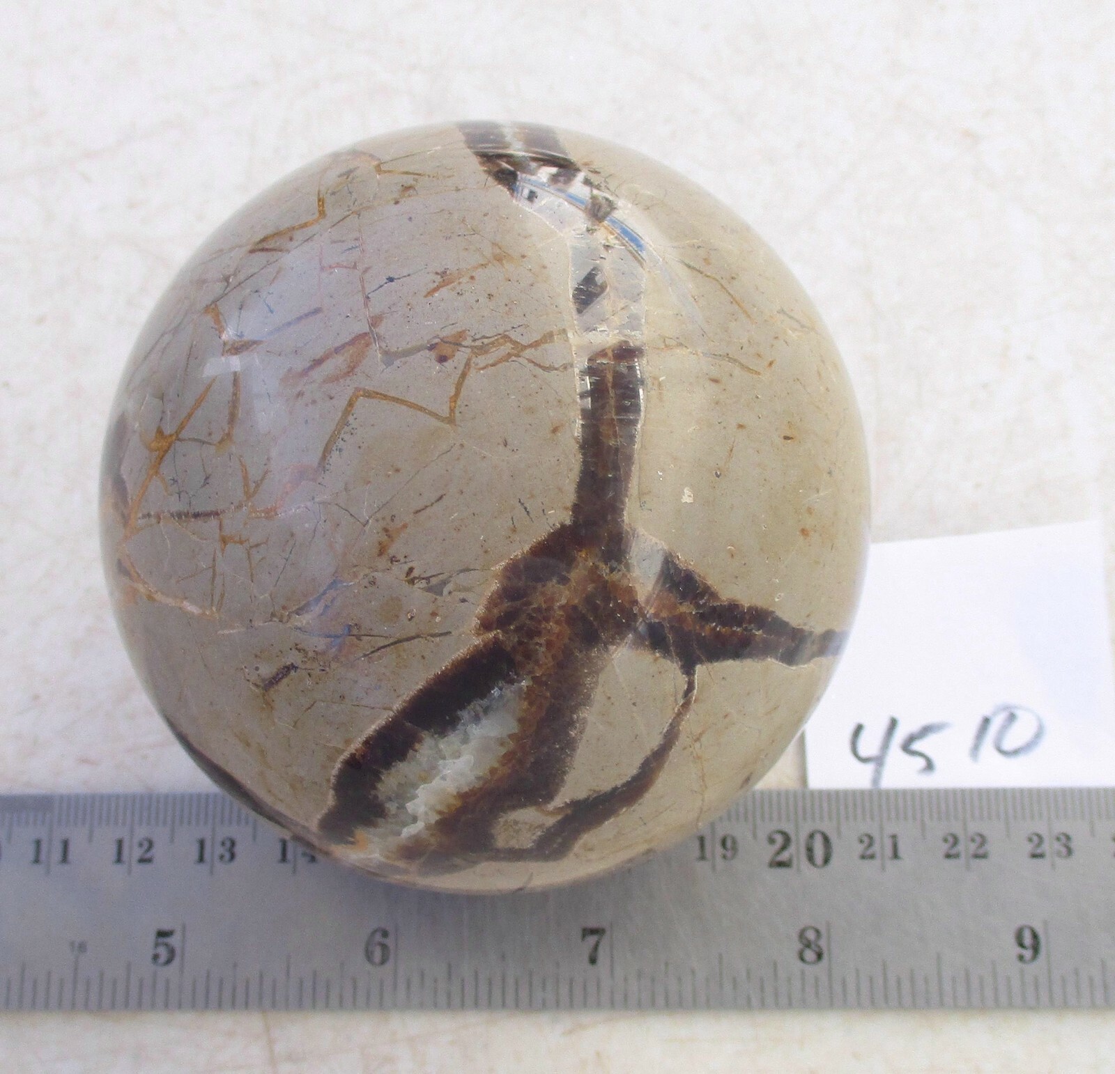 Fluorescent Septarian Nodule Sphere 76mm Collectible or Meditation Ball 4510