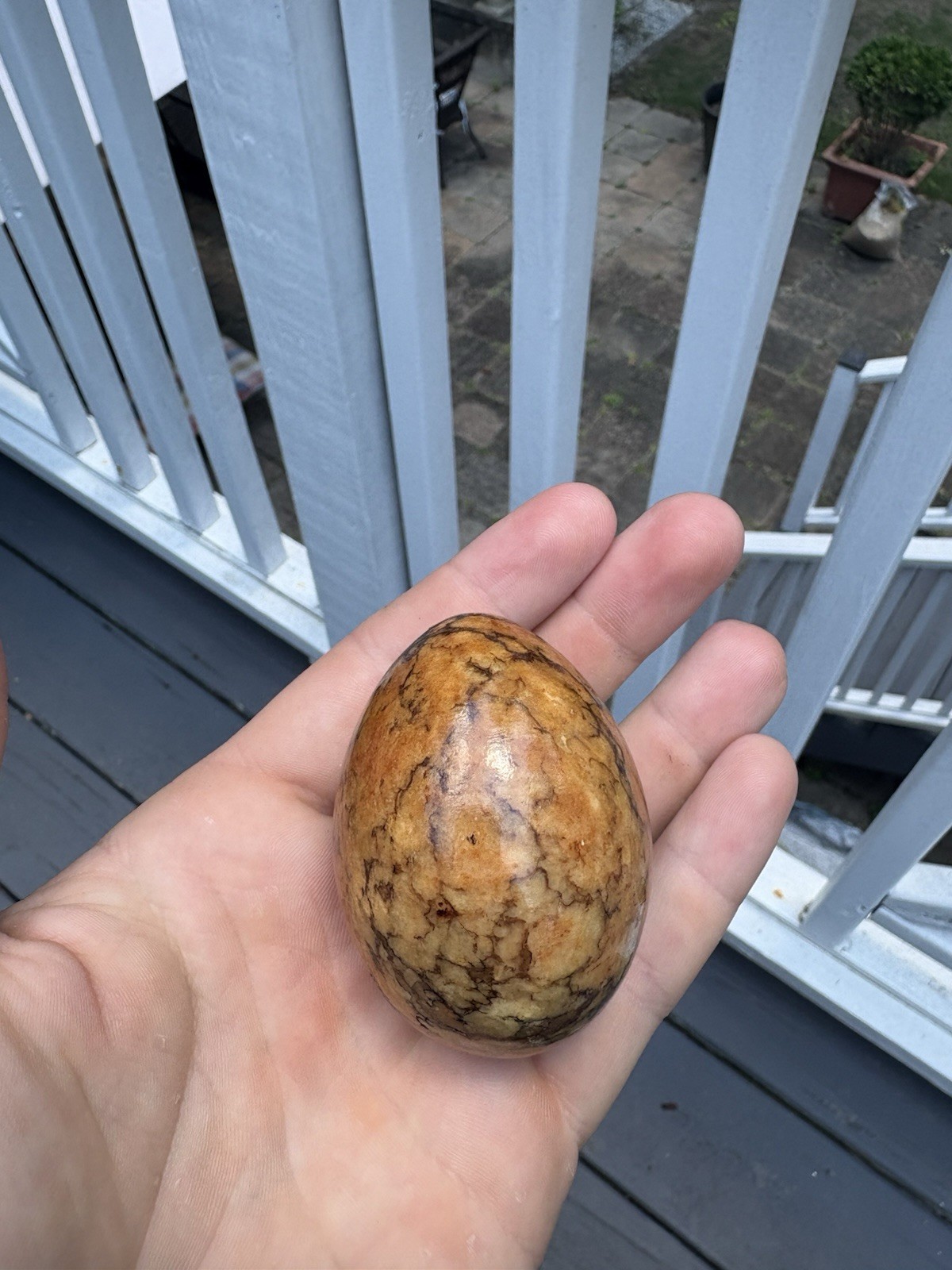 Polished Brown/Tan Marbled Crystal Egg w/ Black Veining