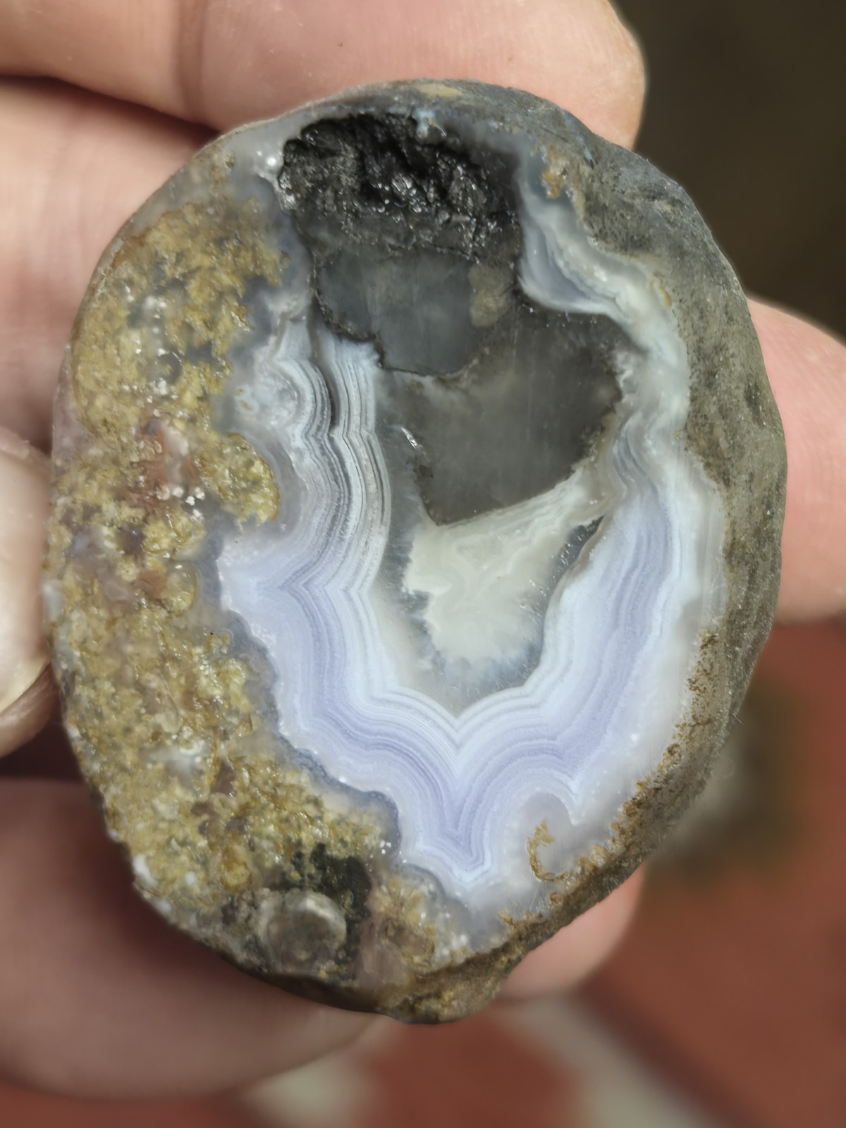 Mulligan Peak Agate 2.7. Vibrant Purple Banding Cut Not Polished