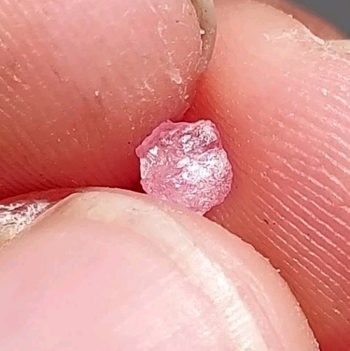 GORGEOUS PINK MONTANA SAPPHIRE
