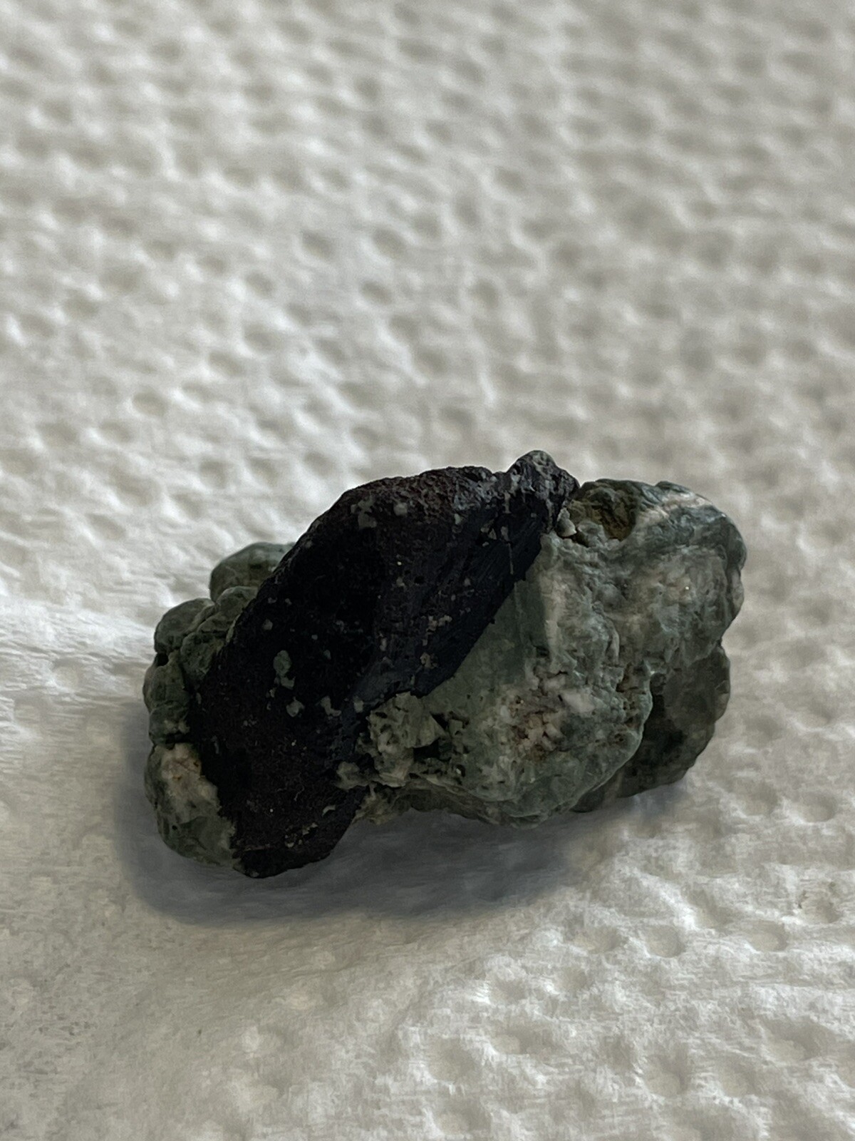 Neptunite Embedded In Blue/green Schist Ore