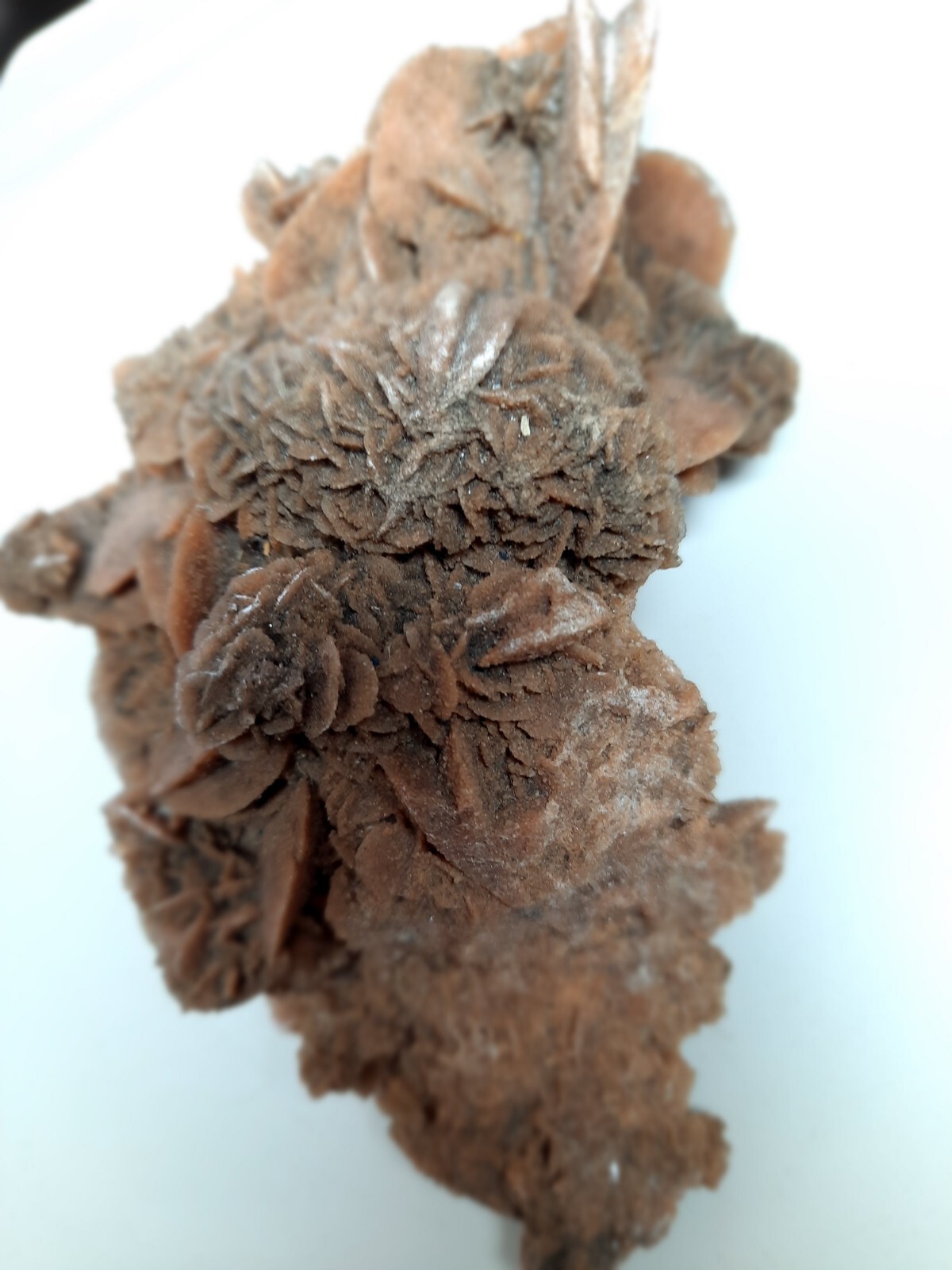 LARGE DESERT ROSE GYPSUM 6 1/4 x 3 1/2 x 2 1/4 Rock Mineral Crystal Stone